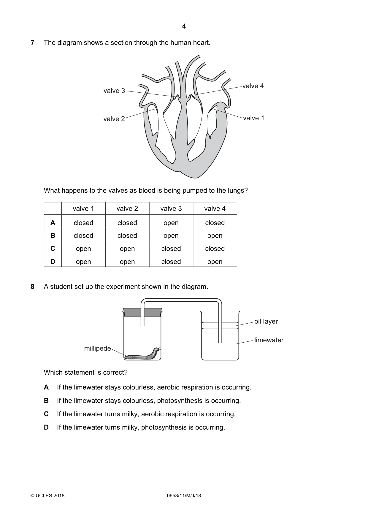 Cambridge IGCSE Science - Combined 0653 2018 May/June Paper 1 · Variant 1 question paper, page 4 of 16