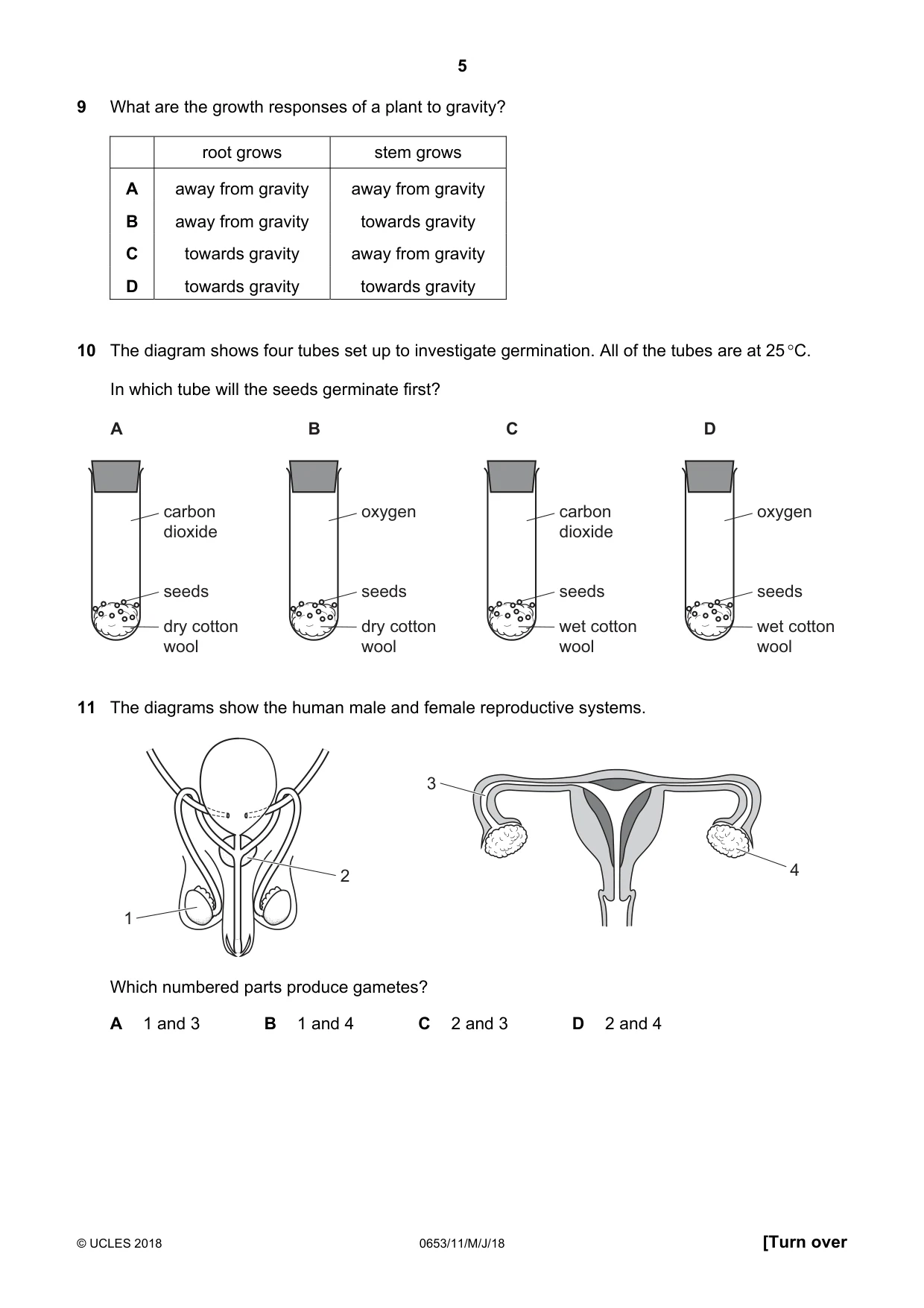 Cambridge IGCSE Science - Combined 0653 2018 May/June Paper 1 · Variant 1 question paper, page 5 of 16