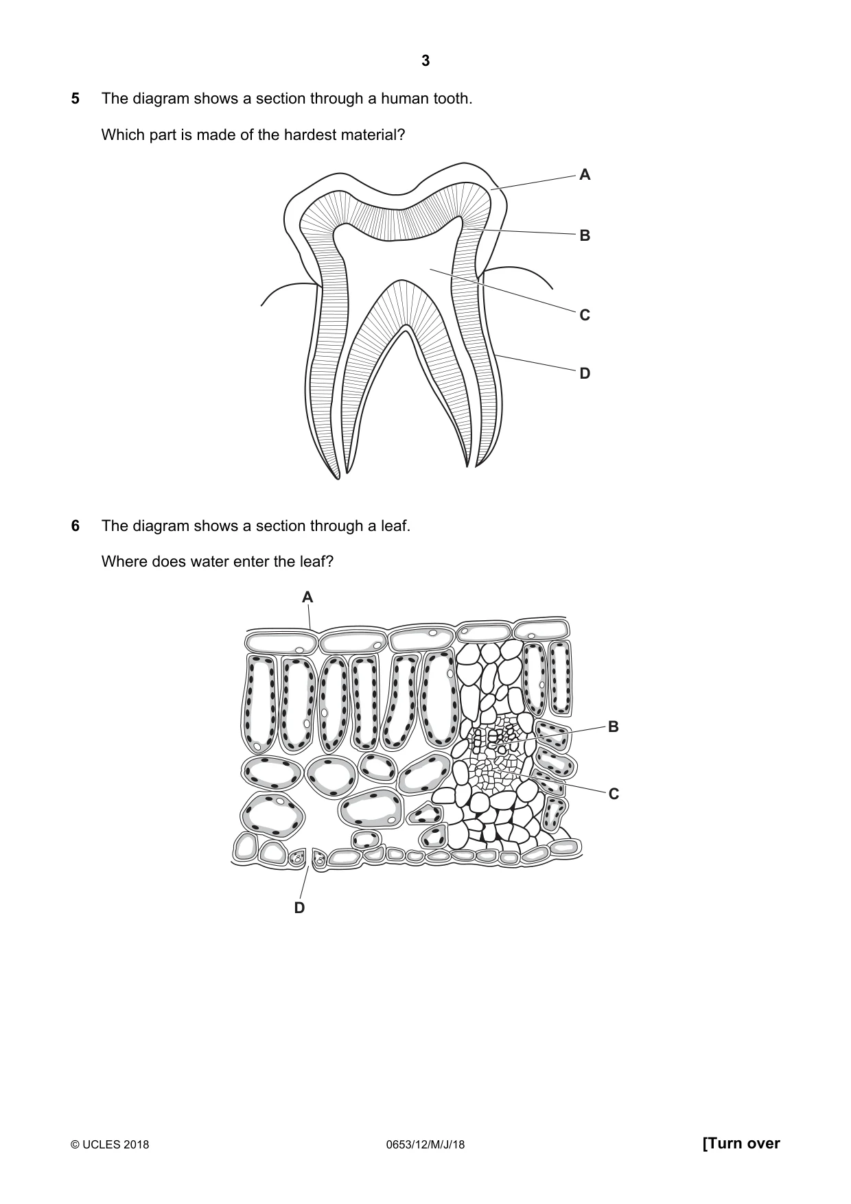 Cambridge IGCSE Science - Combined 0653 2018 May/June Paper 1 · Variant 2 question paper, page 3 of 16