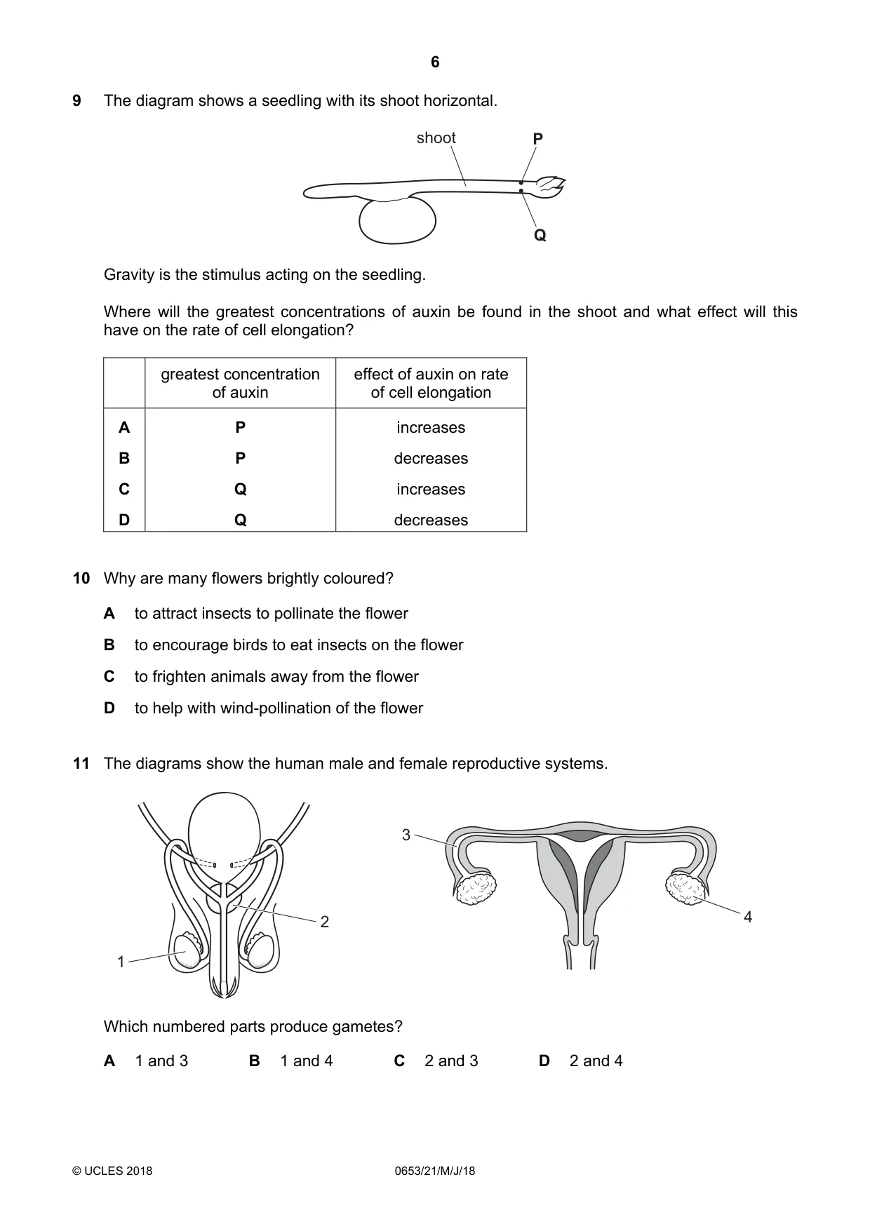 Cambridge IGCSE Science - Combined 0653 2018 May/June Paper 2 · Variant 1 question paper, page 6 of 16