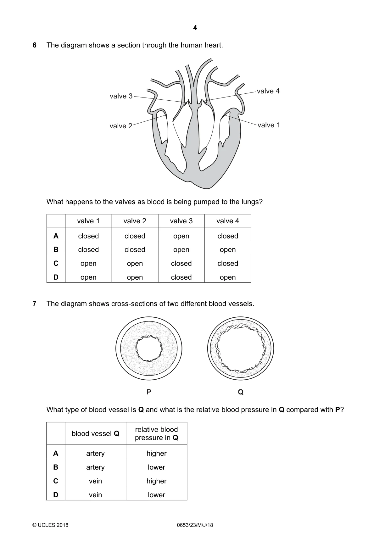 Cambridge IGCSE Science - Combined 0653 2018 May/June Paper 2 · Variant 3 question paper, page 4 of 16
