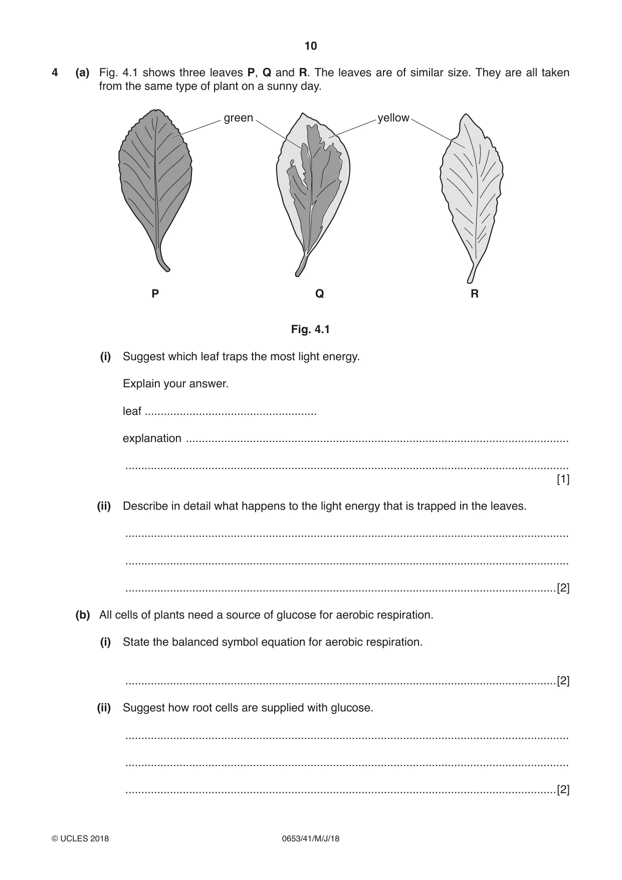 Cambridge IGCSE Science - Combined 0653 2018 May/June Paper 4 · Variant 1 question paper, page 10 of 20