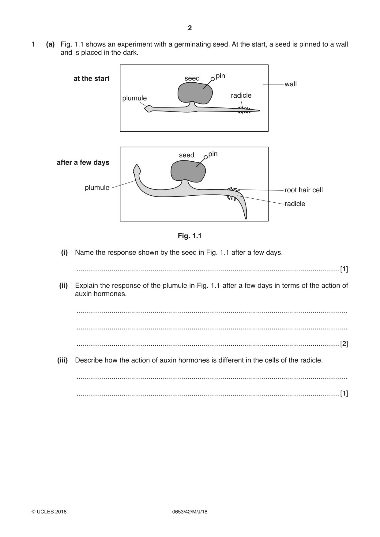 Cambridge IGCSE Science - Combined 0653 2018 May/June Paper 4 · Variant 2 question paper, page 2 of 24