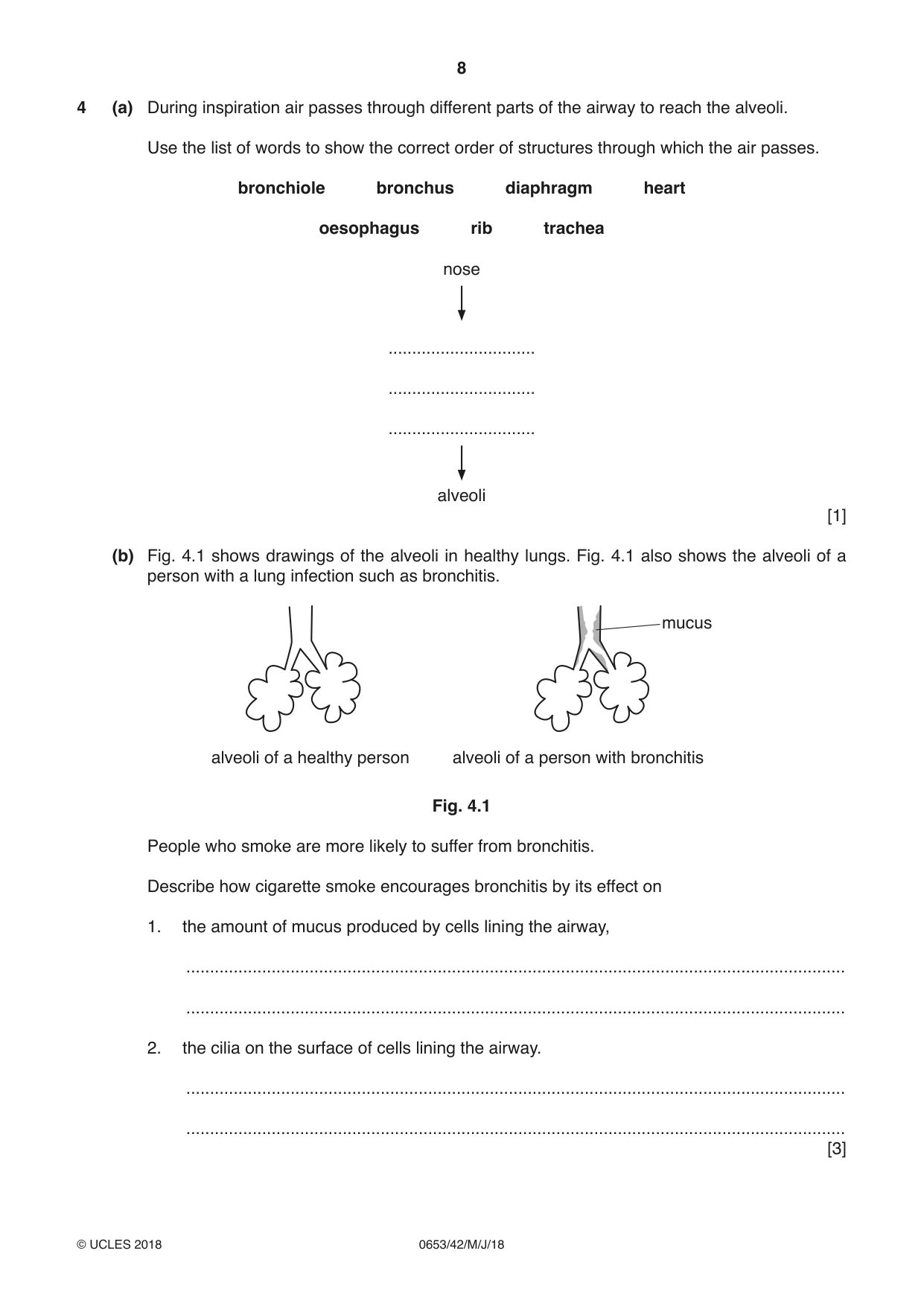 Cambridge IGCSE Science - Combined 0653 2018 May/June Paper 4 · Variant 2 question paper, page 8 of 24