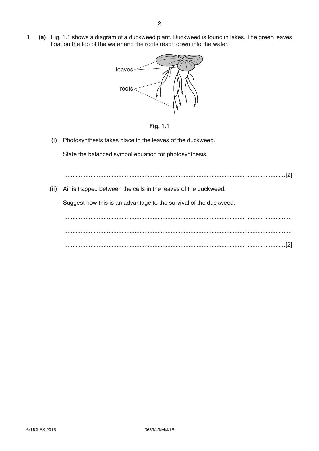 Cambridge IGCSE Science - Combined 0653 2018 May/June Paper 4 · Variant 3 question paper, page 2 of 20