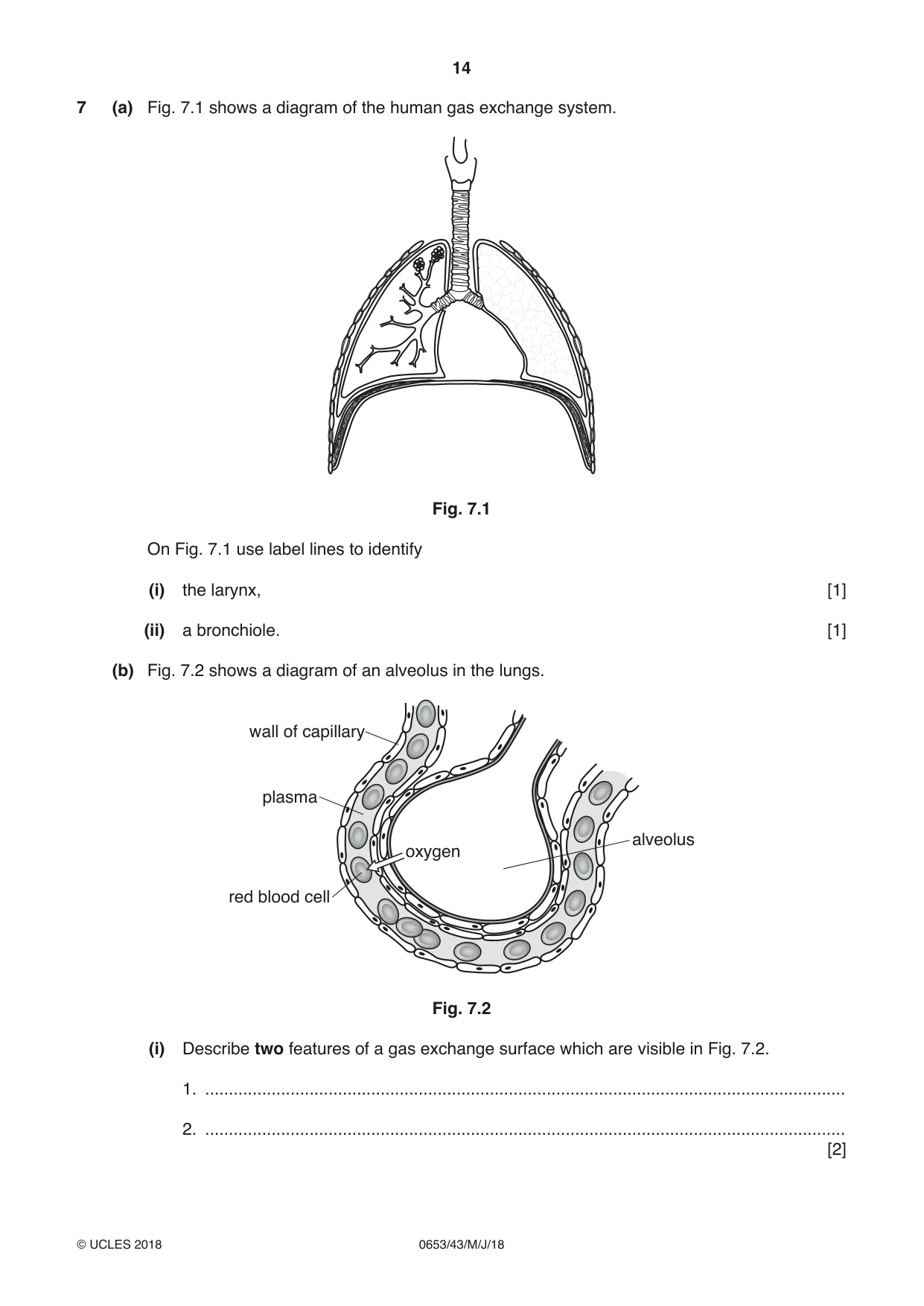 Cambridge IGCSE Science - Combined 0653 2018 May/June Paper 4 · Variant 3 question paper, page 14 of 20