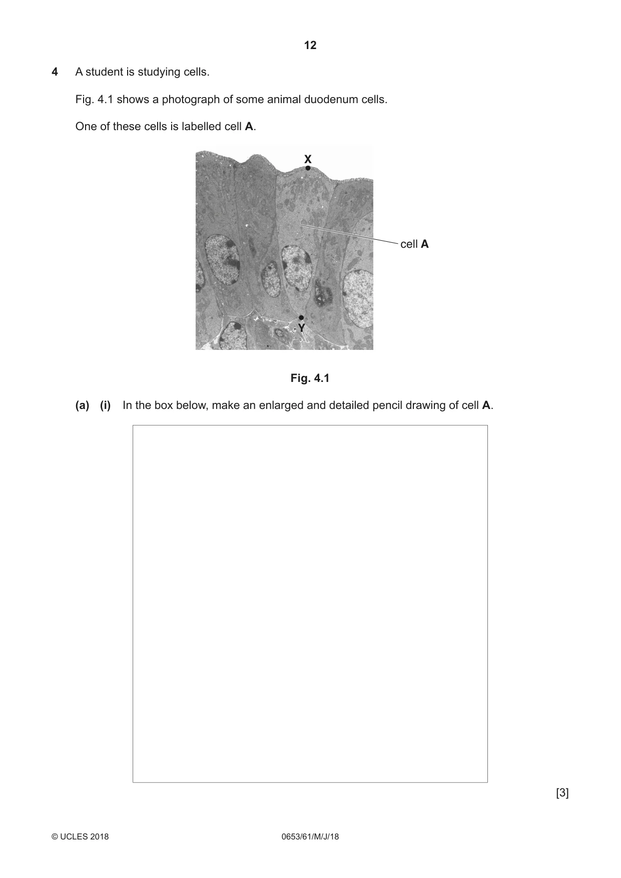 Cambridge IGCSE Science - Combined 0653 2018 May/June Paper 6 · Variant 1 question paper, page 12 of 20