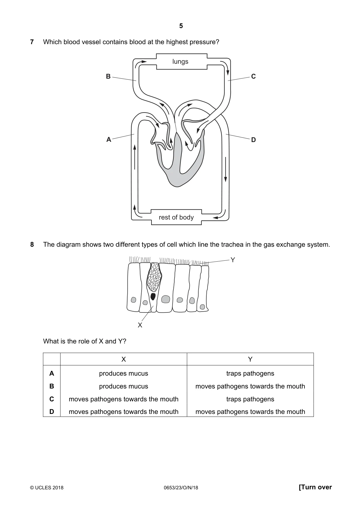 Cambridge IGCSE Science - Combined 0653 2018 Oct/Nov Paper 2 · Variant 3 question paper, page 5 of 16