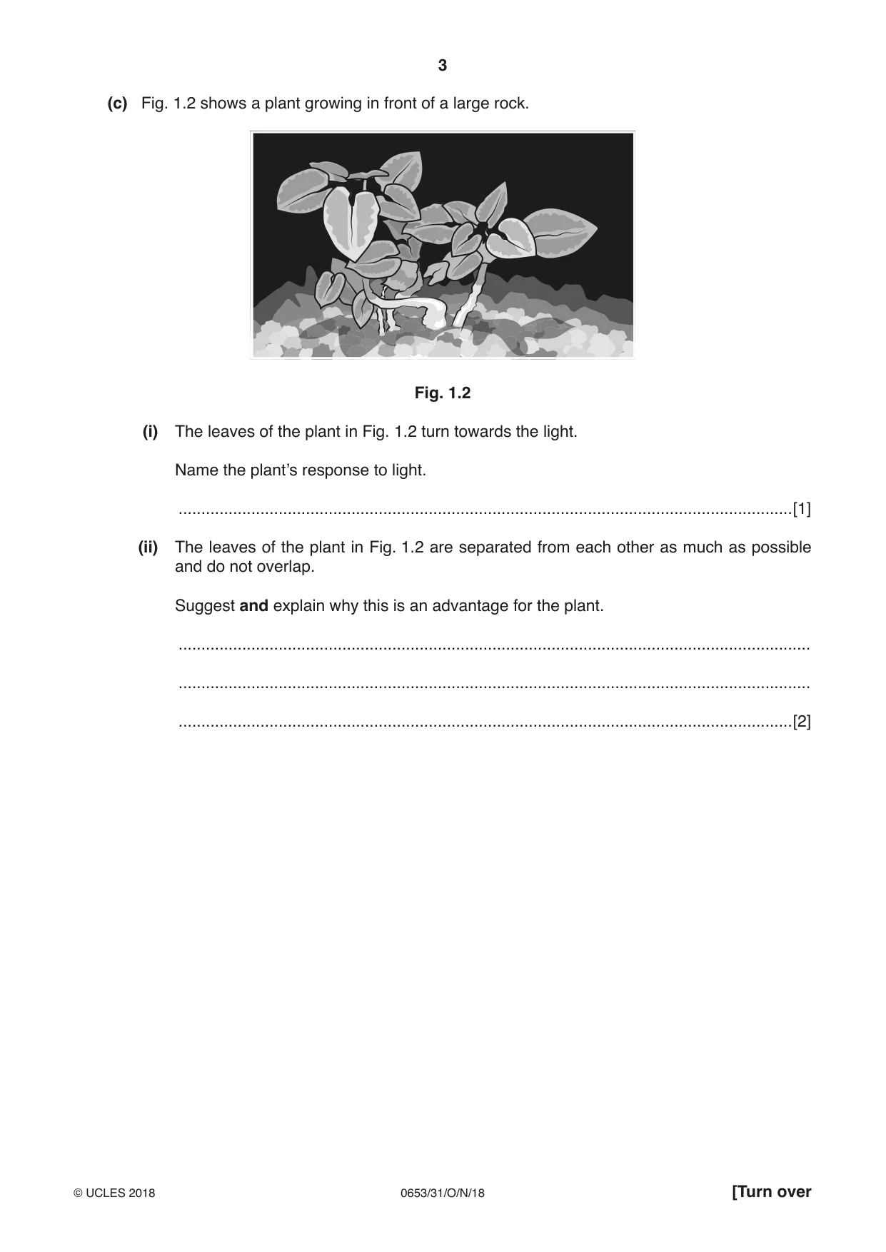 Cambridge IGCSE Science - Combined 0653 2018 Oct/Nov Paper 3 · Variant 1 question paper, page 3 of 20