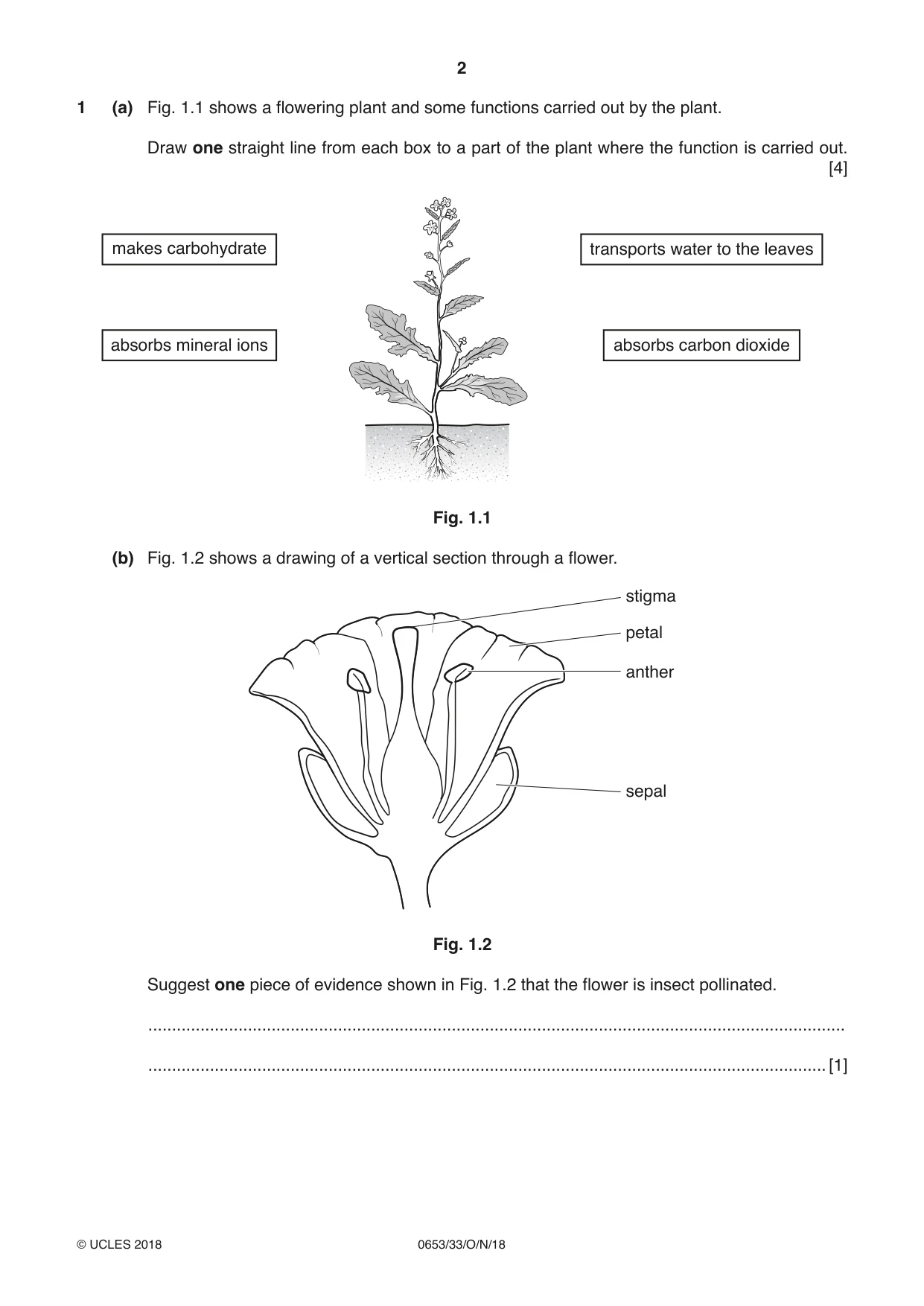Cambridge IGCSE Science - Combined 0653 2018 Oct/Nov Paper 3 · Variant 3 question paper, page 2 of 20