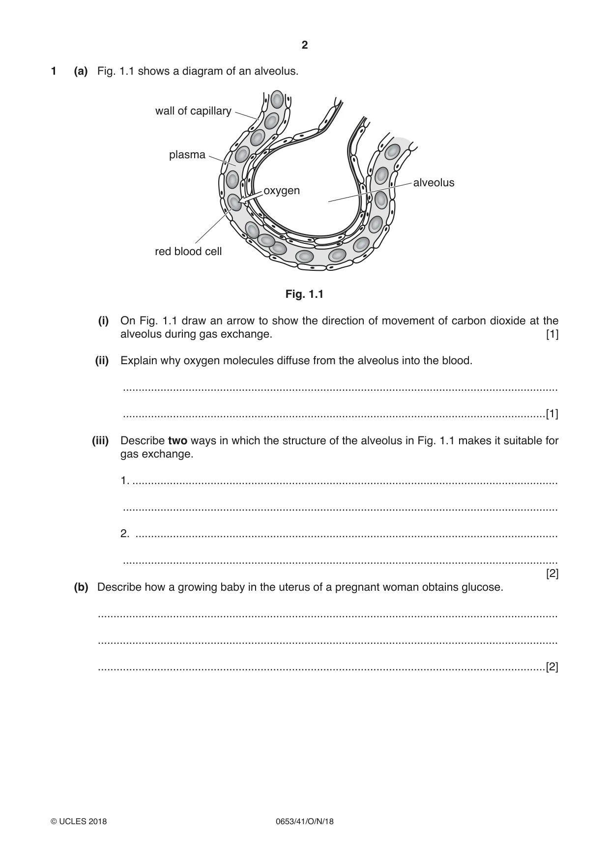 Cambridge IGCSE Science - Combined 0653 2018 Oct/Nov Paper 4 · Variant 1 question paper, page 2 of 20