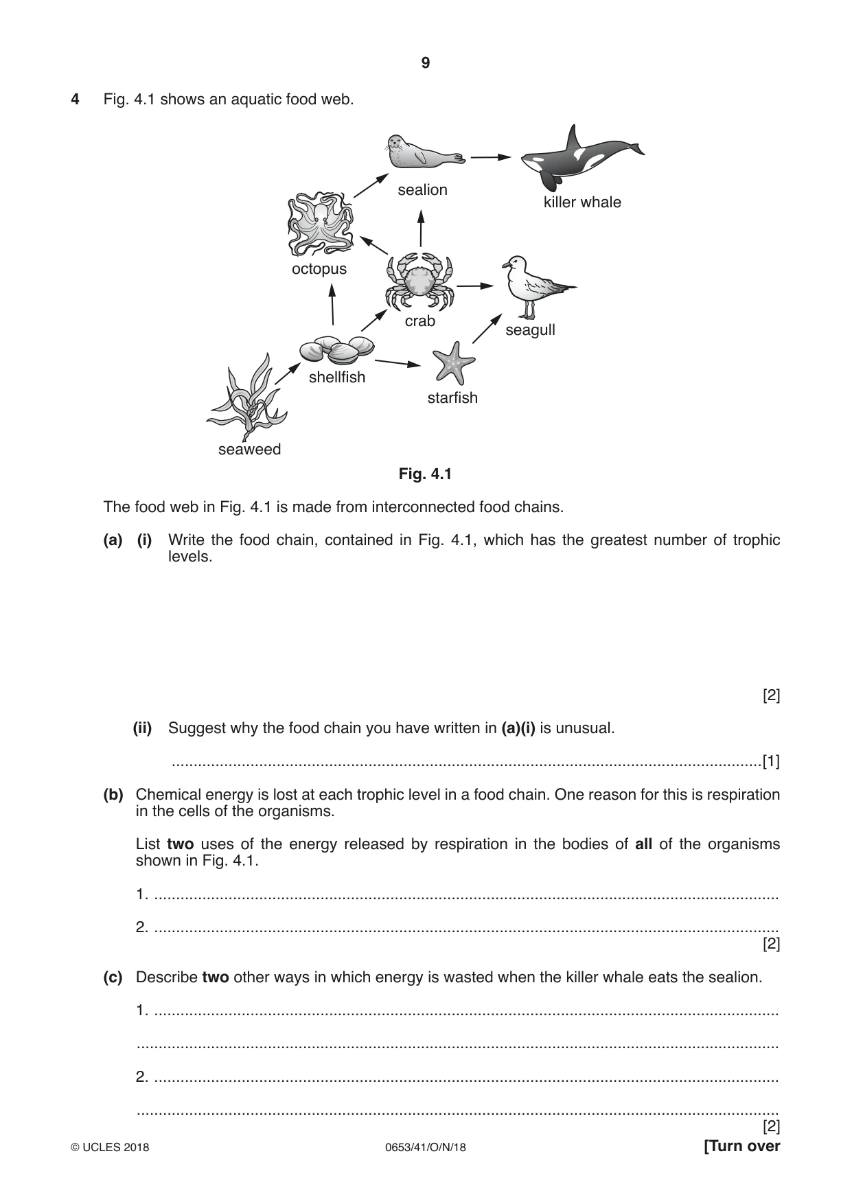 Cambridge IGCSE Science - Combined 0653 2018 Oct/Nov Paper 4 · Variant 1 question paper, page 9 of 20