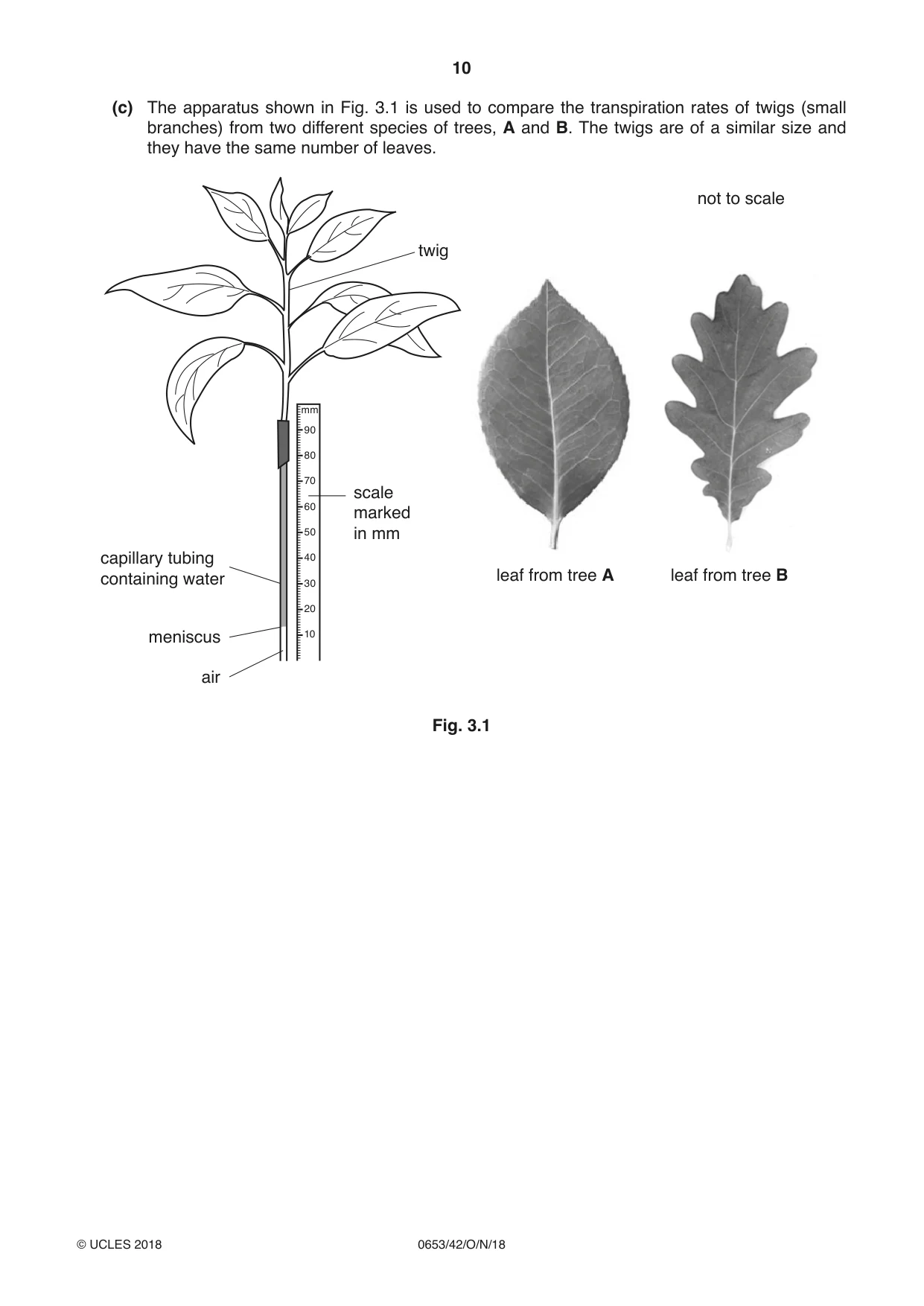 Cambridge IGCSE Science - Combined 0653 2018 Oct/Nov Paper 4 · Variant 2 question paper, page 10 of 24
