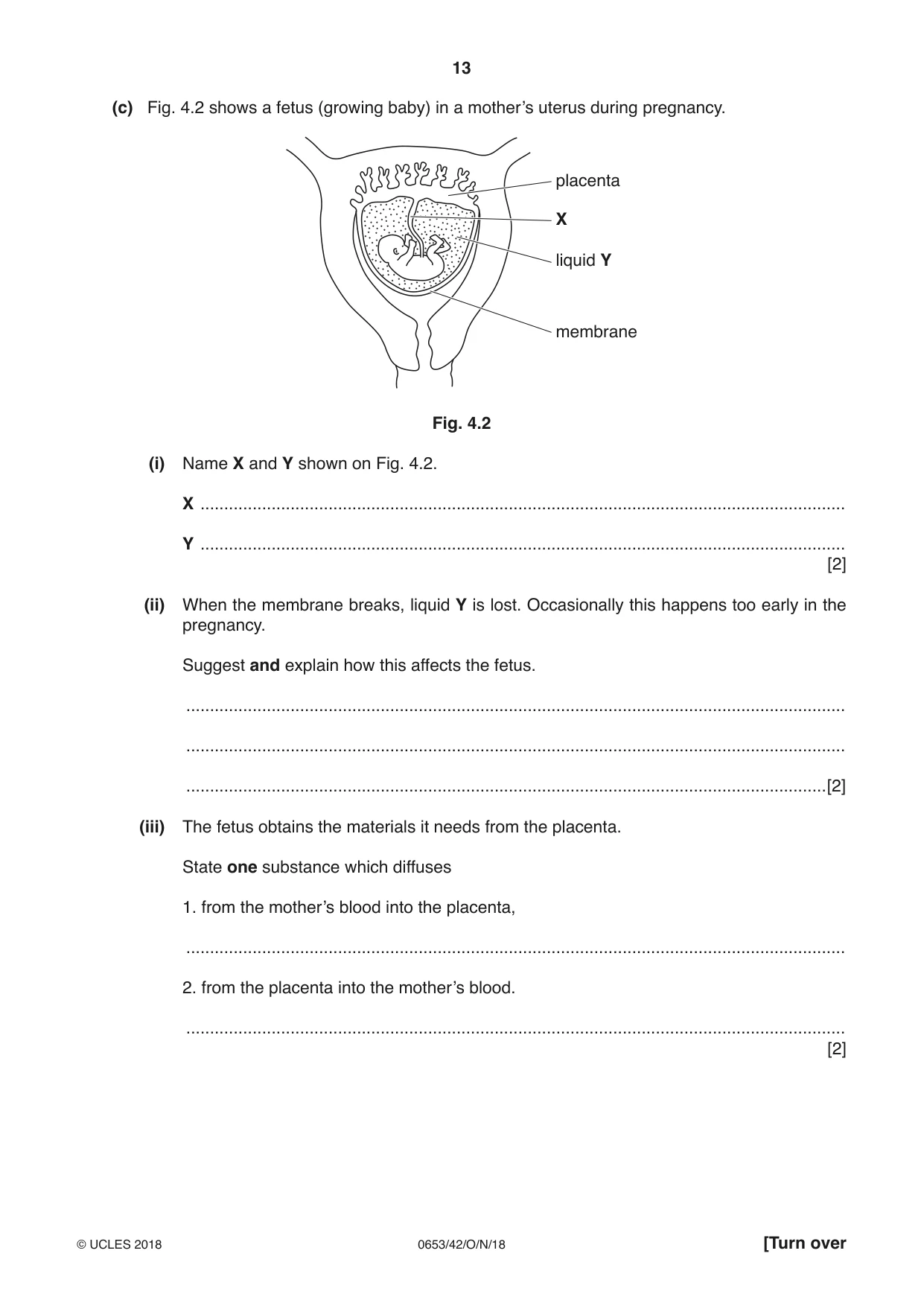 Cambridge IGCSE Science - Combined 0653 2018 Oct/Nov Paper 4 · Variant 2 question paper, page 13 of 24