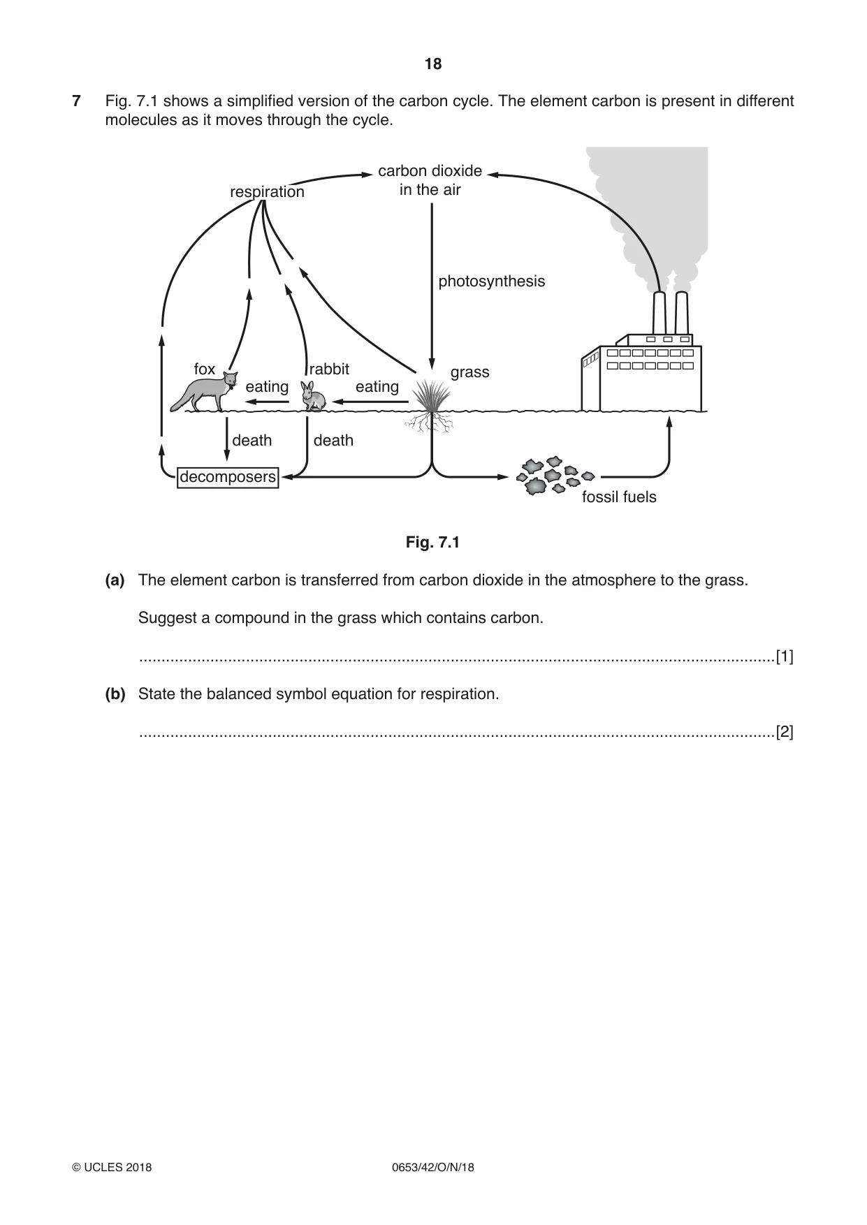 Cambridge IGCSE Science - Combined 0653 2018 Oct/Nov Paper 4 · Variant 2 question paper, page 18 of 24