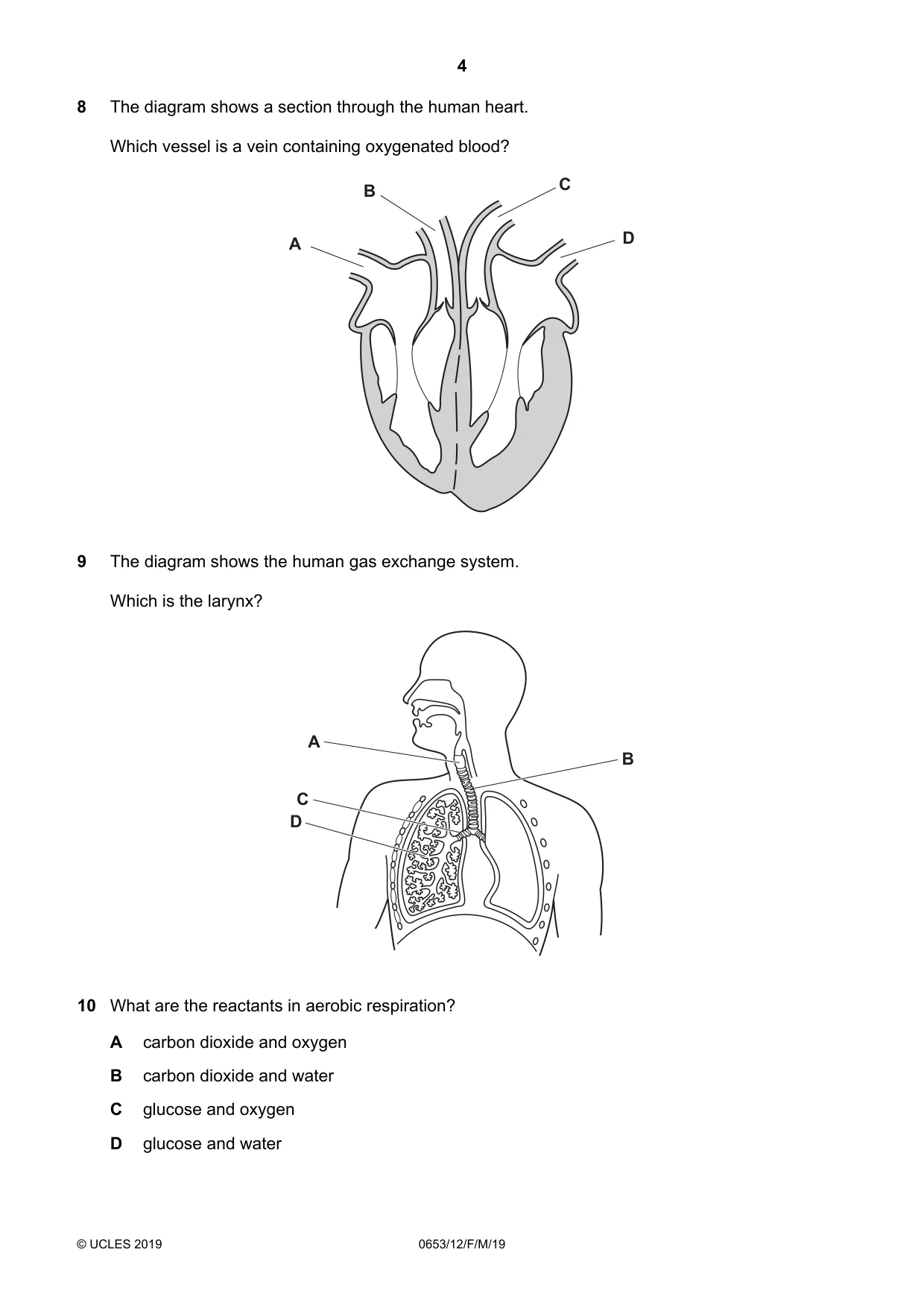 Cambridge IGCSE Science - Combined 0653 2019 Feb/March Paper 1 · Variant 2 question paper, page 4 of 16
