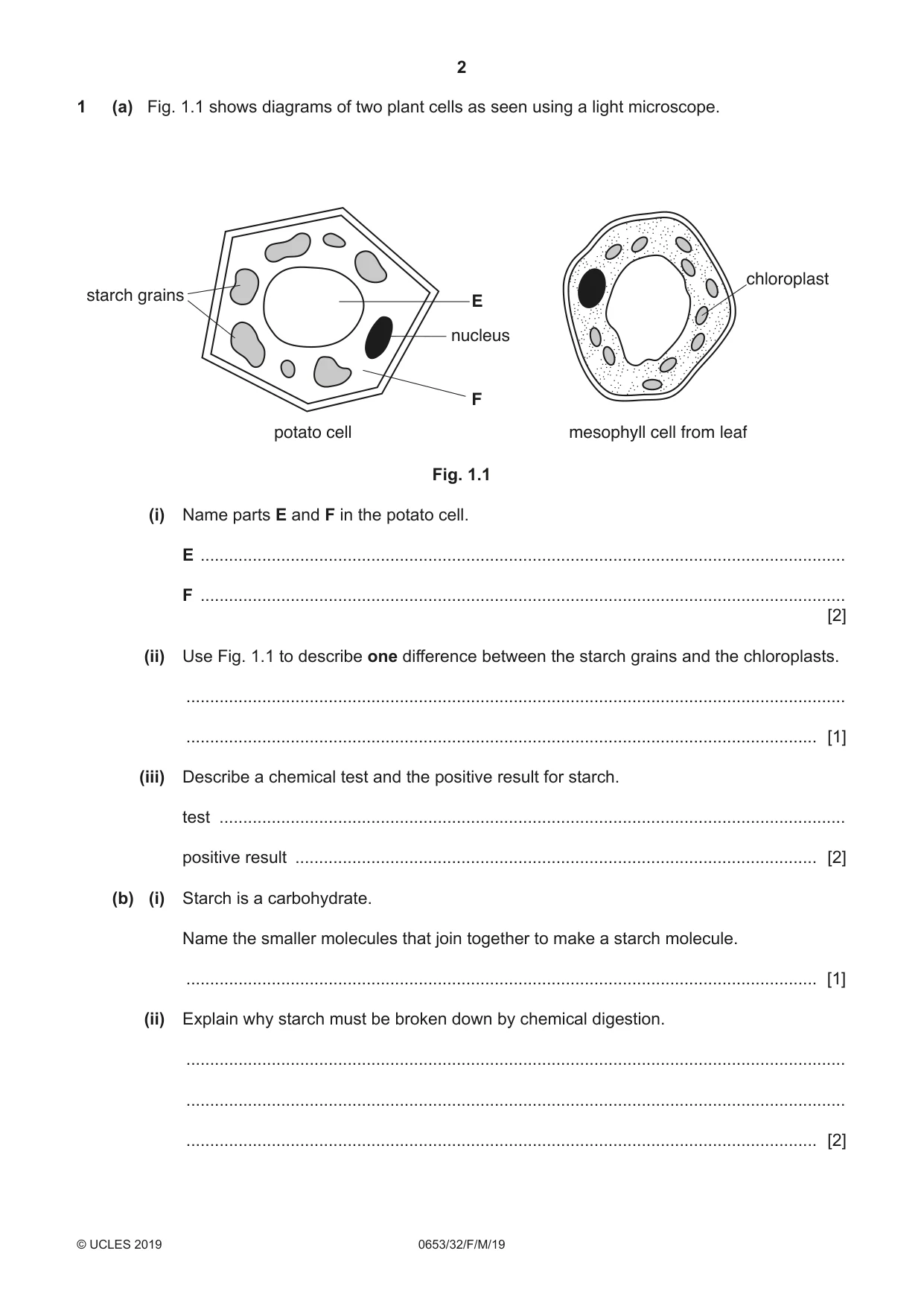 Cambridge IGCSE Science - Combined 0653 2019 Feb/March Paper 3 · Variant 2 question paper, page 2 of 20