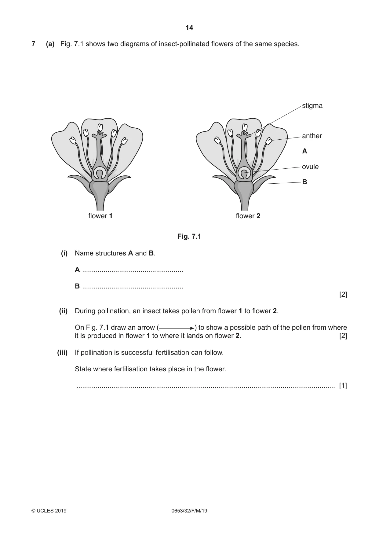 Cambridge IGCSE Science - Combined 0653 2019 Feb/March Paper 3 · Variant 2 question paper, page 14 of 20