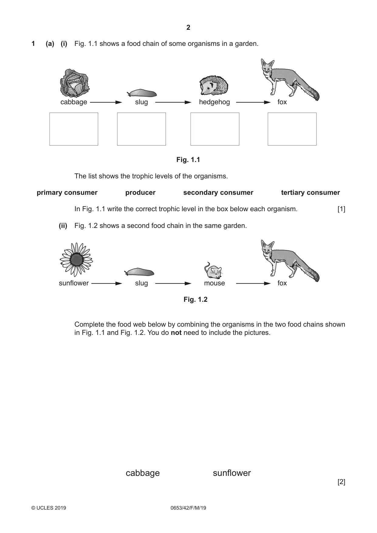 Cambridge IGCSE Science - Combined 0653 2019 Feb/March Paper 4 · Variant 2 question paper, page 2 of 24