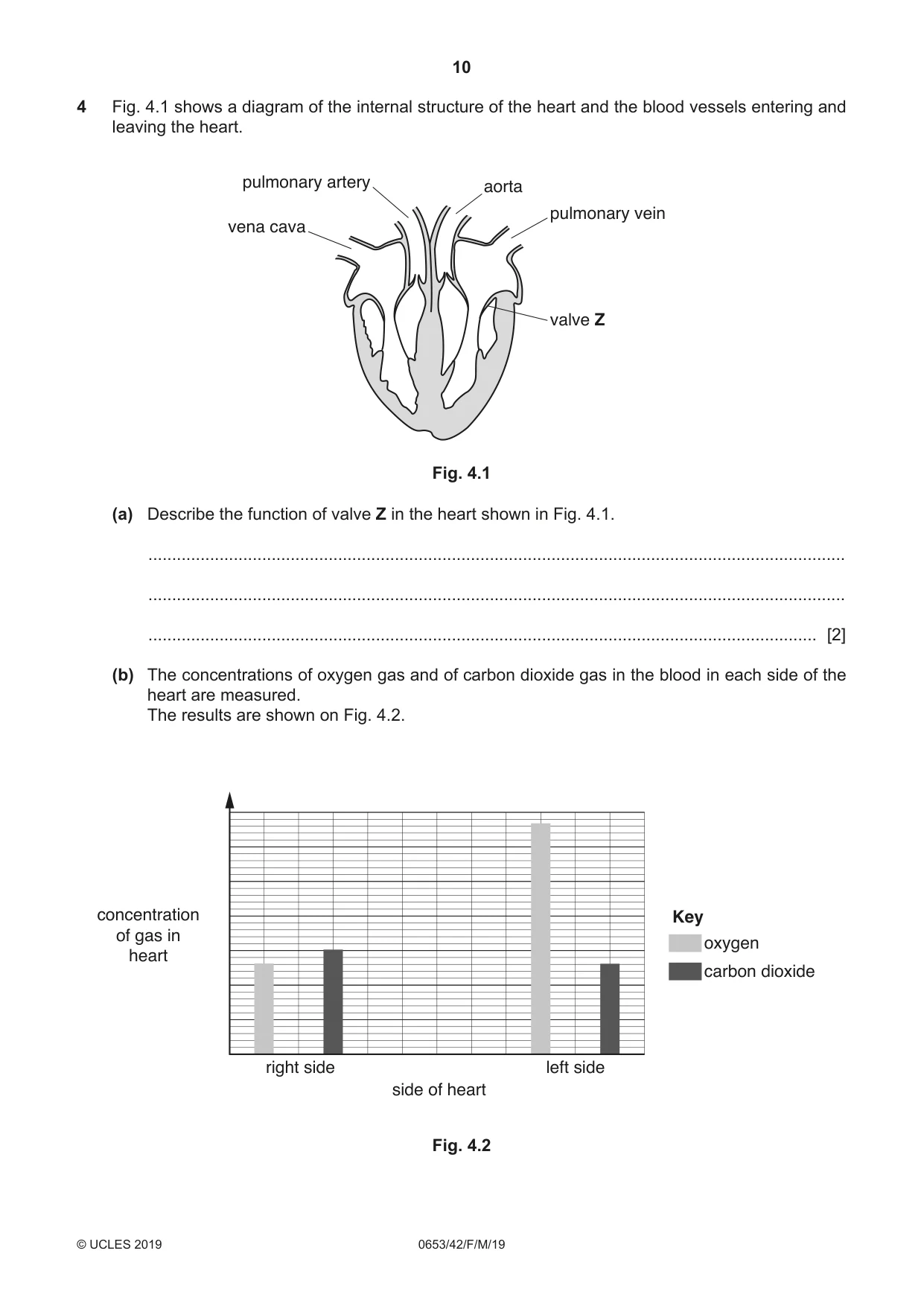 Cambridge IGCSE Science - Combined 0653 2019 Feb/March Paper 4 · Variant 2 question paper, page 10 of 24