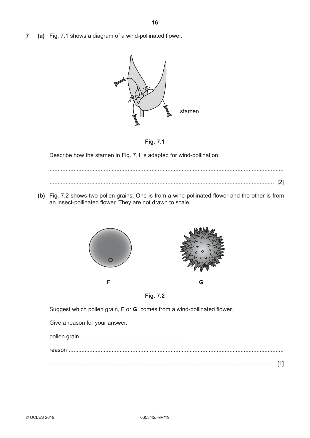 Cambridge IGCSE Science - Combined 0653 2019 Feb/March Paper 4 · Variant 2 question paper, page 16 of 24
