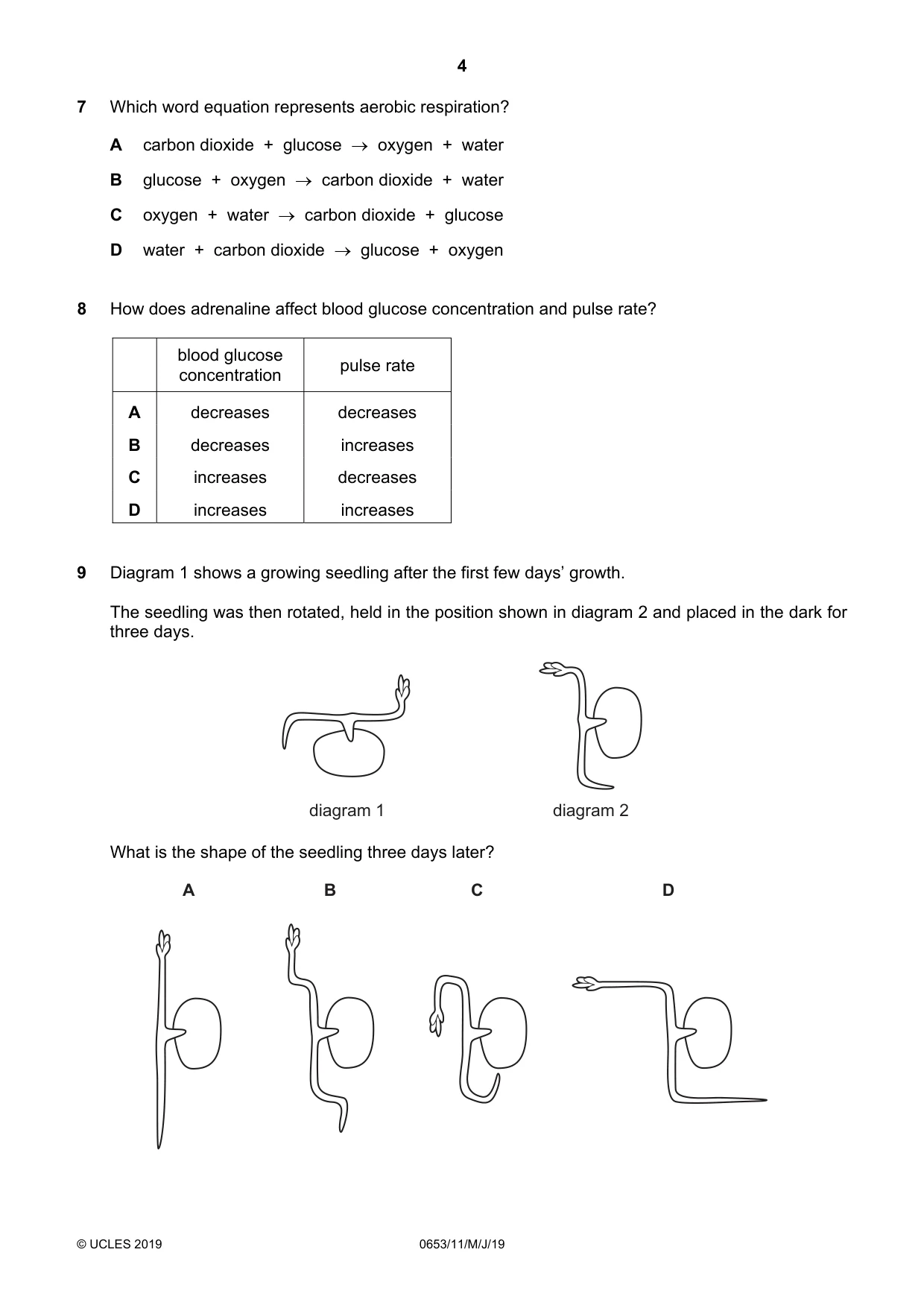 Cambridge IGCSE Science - Combined 0653 2019 May/June Paper 1 · Variant 1 question paper, page 4 of 16