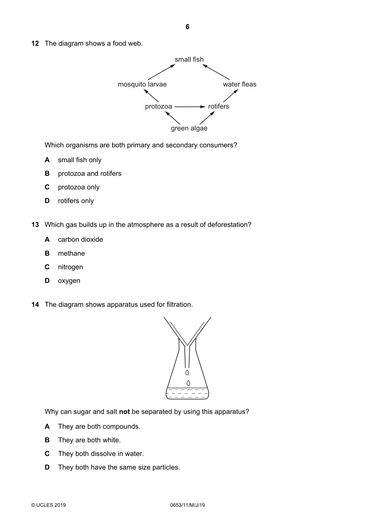 Cambridge IGCSE Science - Combined 0653 2019 May/June Paper 1 · Variant 1 question paper, page 6 of 16