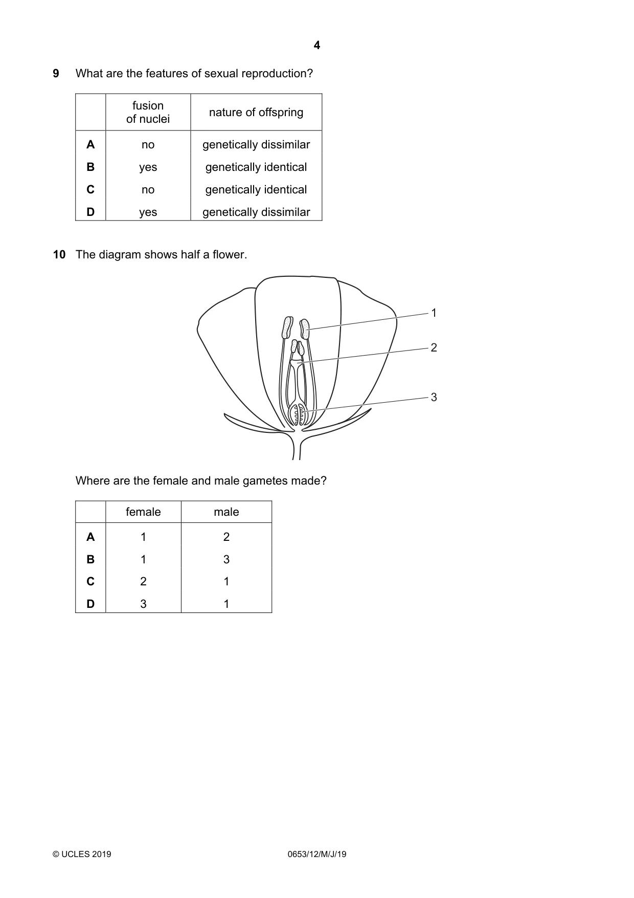 Cambridge IGCSE Science - Combined 0653 2019 May/June Paper 1 · Variant 2 question paper, page 4 of 16