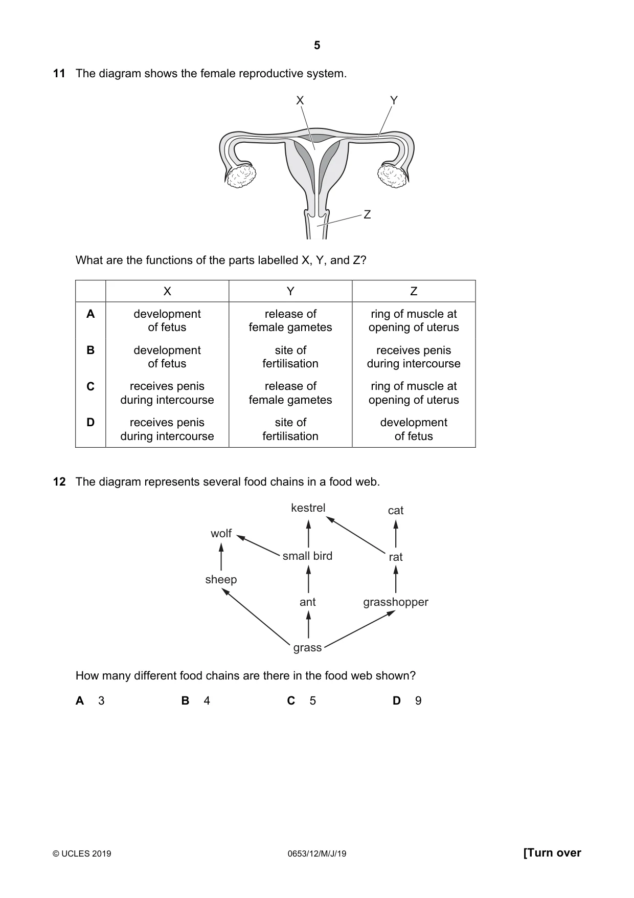 Cambridge IGCSE Science - Combined 0653 2019 May/June Paper 1 · Variant 2 question paper, page 5 of 16