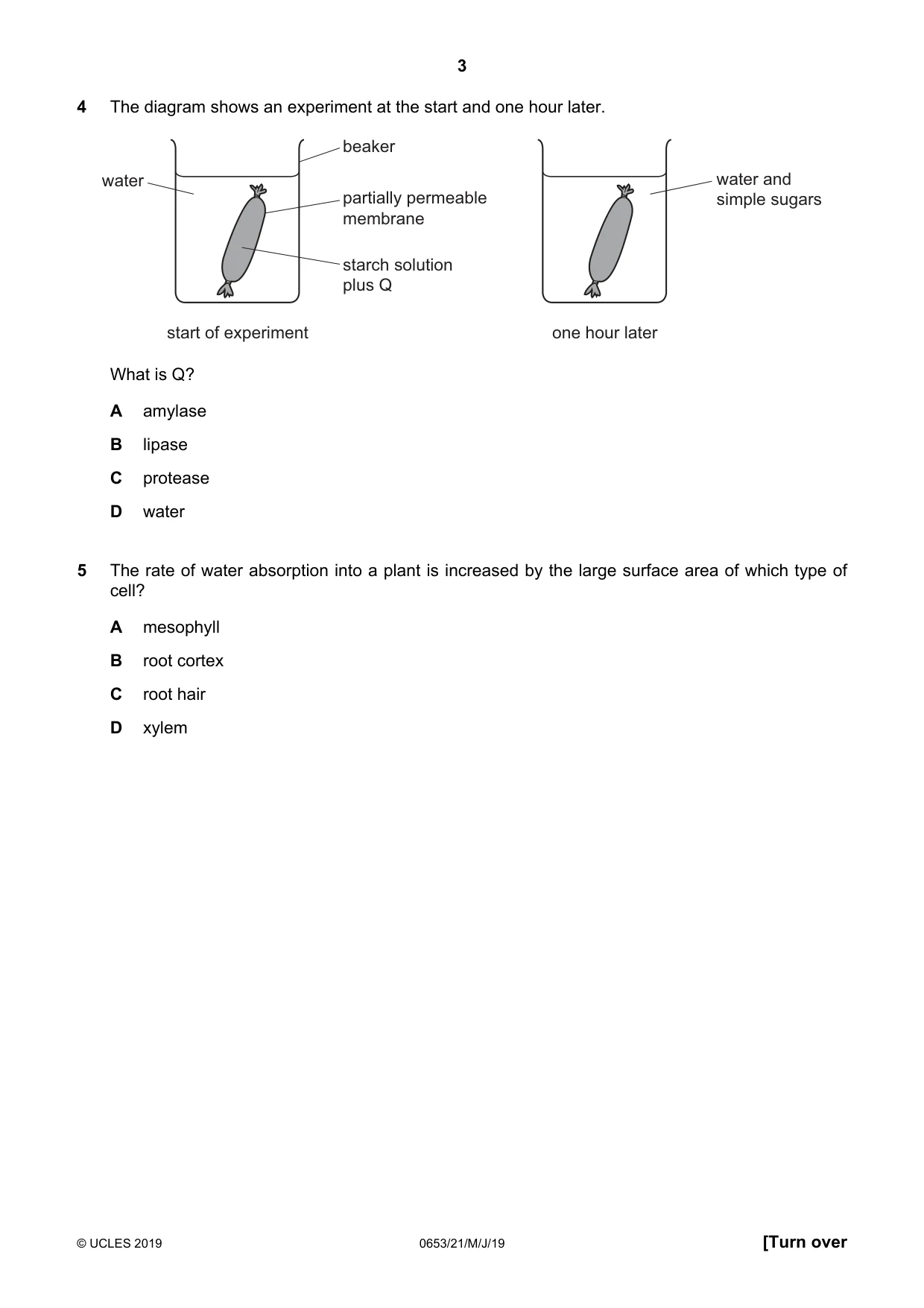 Cambridge IGCSE Science - Combined 0653 2019 May/June Paper 2 · Variant 1 question paper, page 3 of 20