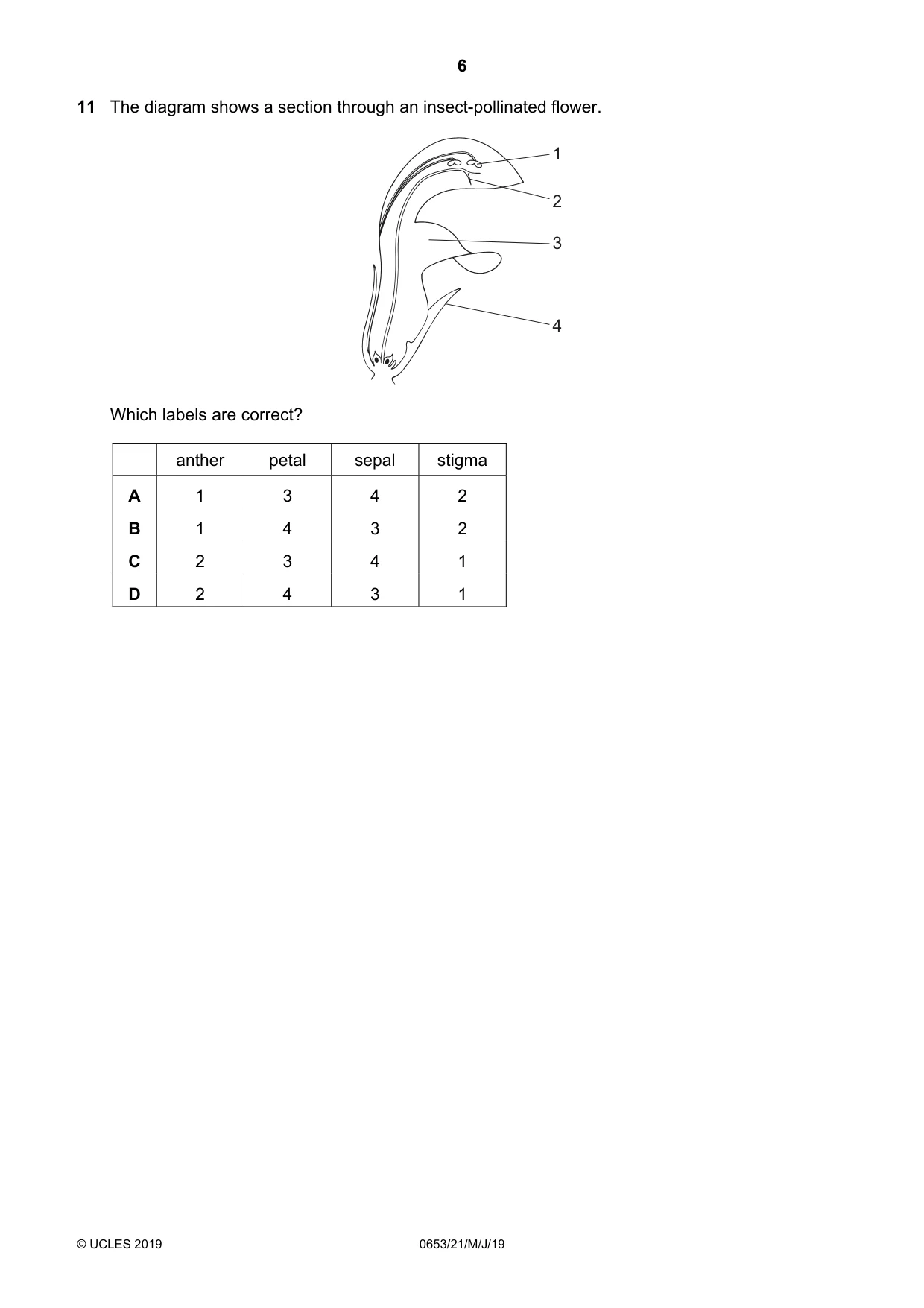 Cambridge IGCSE Science - Combined 0653 2019 May/June Paper 2 · Variant 1 question paper, page 6 of 20