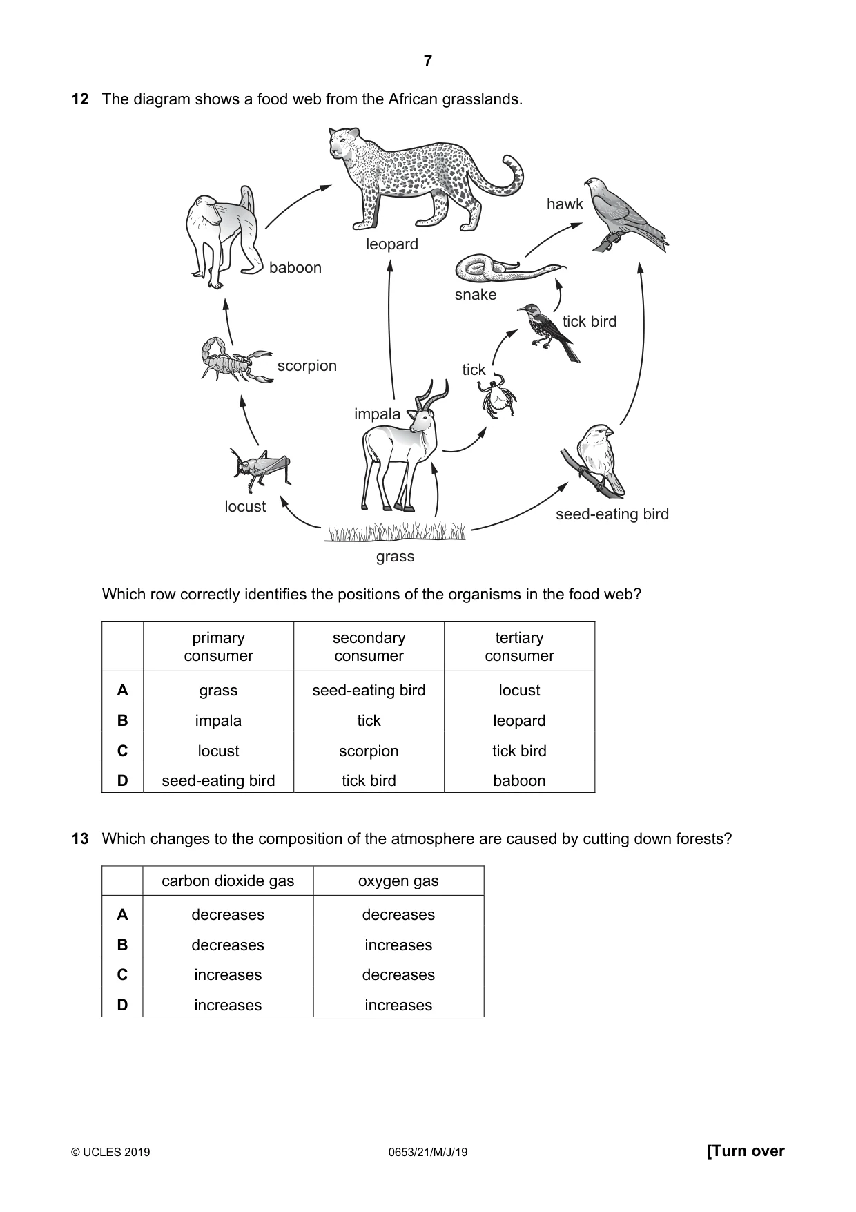 Cambridge IGCSE Science - Combined 0653 2019 May/June Paper 2 · Variant 1 question paper, page 7 of 20