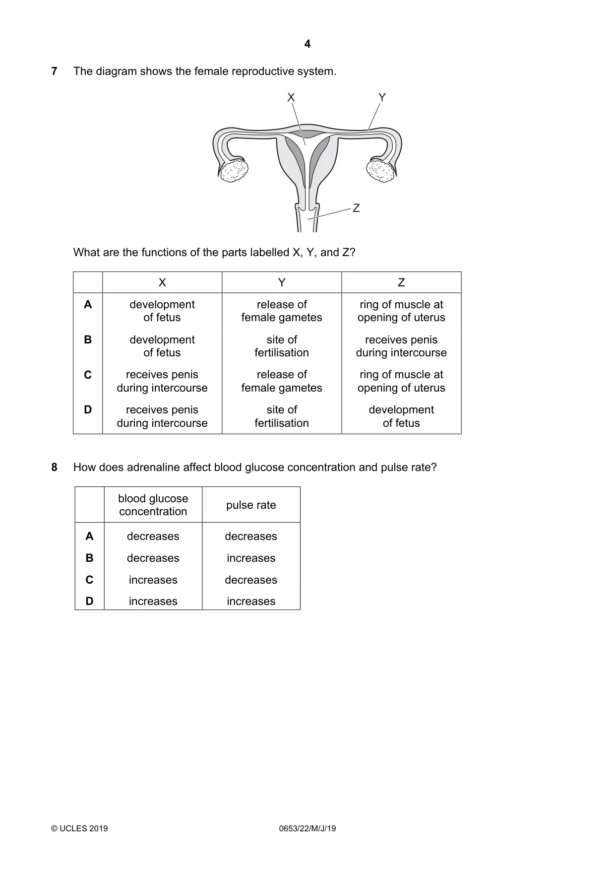 Cambridge IGCSE Science - Combined 0653 2019 May/June Paper 2 · Variant 2 question paper, page 4 of 16