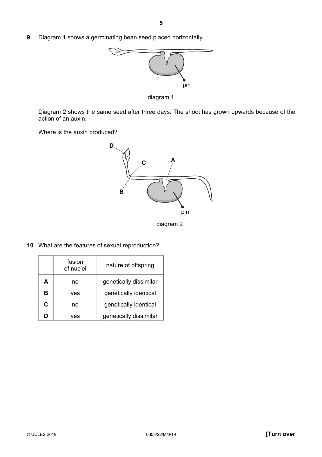 Cambridge IGCSE Science - Combined 0653 2019 May/June Paper 2 · Variant 2 question paper, page 5 of 16