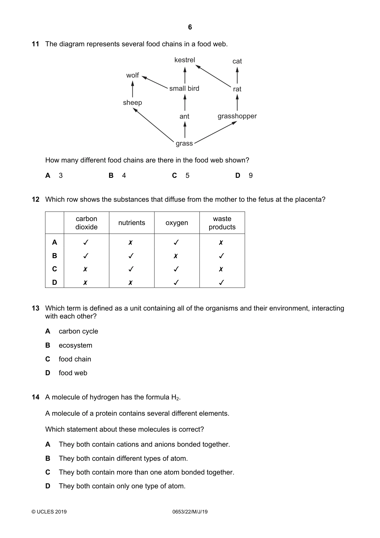 Cambridge IGCSE Science - Combined 0653 2019 May/June Paper 2 · Variant 2 question paper, page 6 of 16