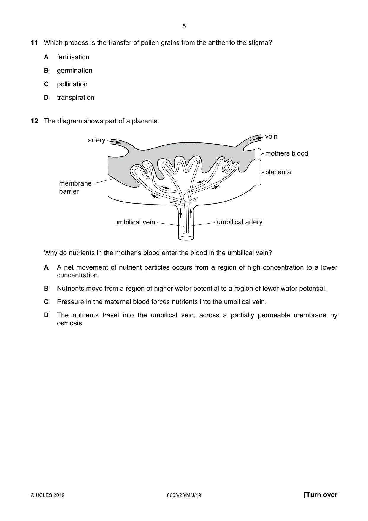Cambridge IGCSE Science - Combined 0653 2019 May/June Paper 2 · Variant 3 question paper, page 5 of 16