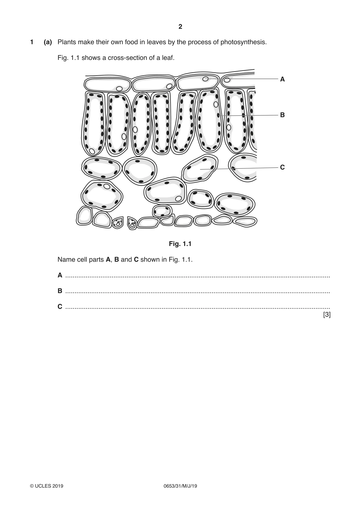 Cambridge IGCSE Science - Combined 0653 2019 May/June Paper 3 · Variant 1 question paper, page 2 of 20