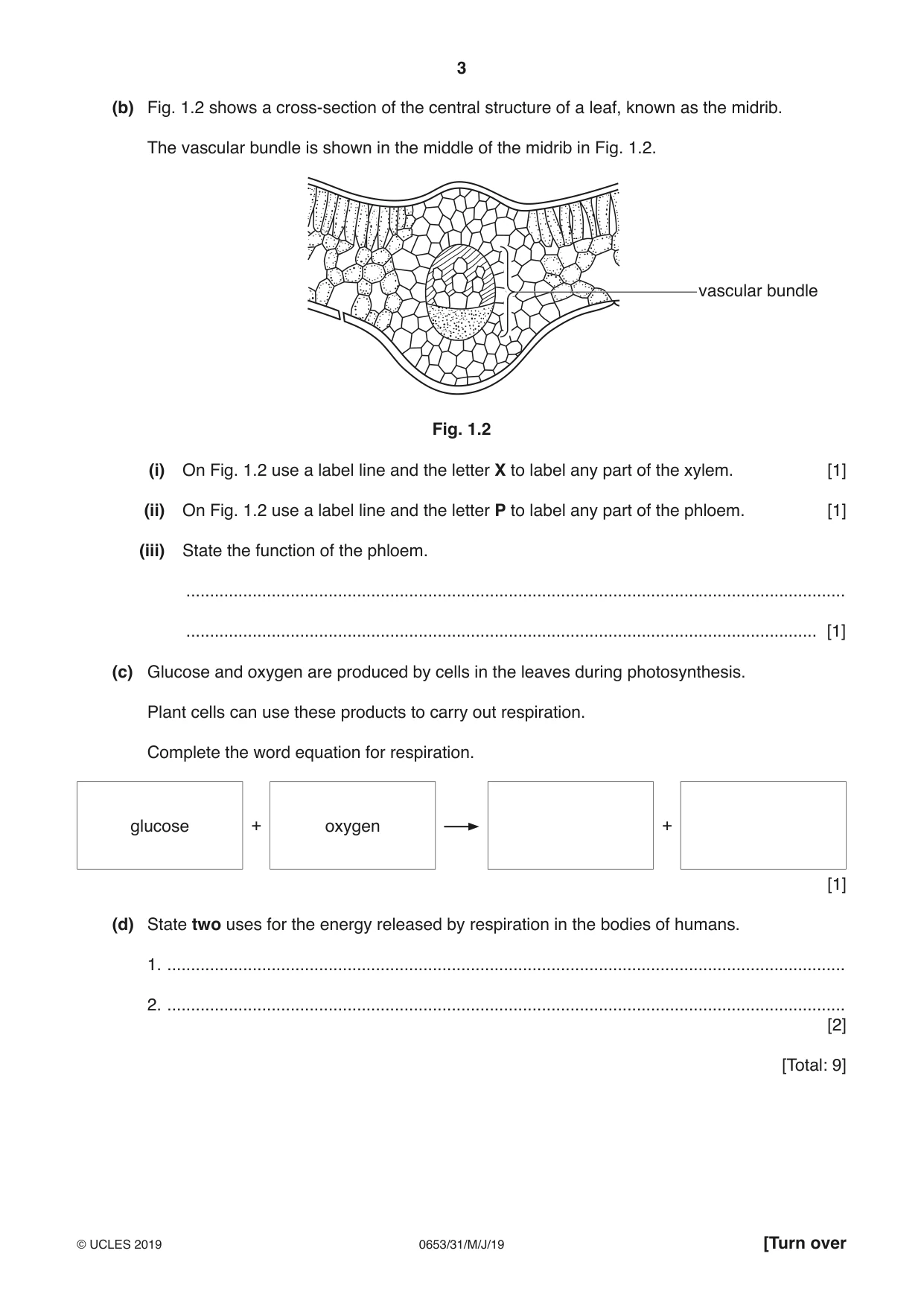 Cambridge IGCSE Science - Combined 0653 2019 May/June Paper 3 · Variant 1 question paper, page 3 of 20