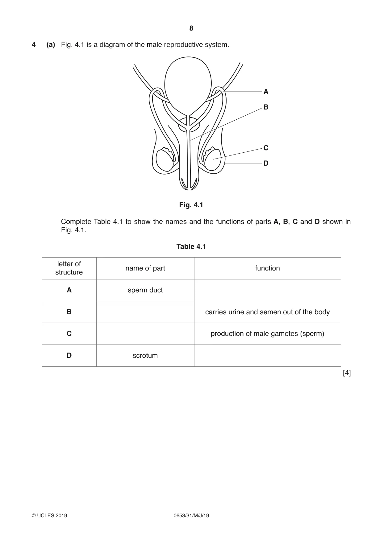 Cambridge IGCSE Science - Combined 0653 2019 May/June Paper 3 · Variant 1 question paper, page 8 of 20