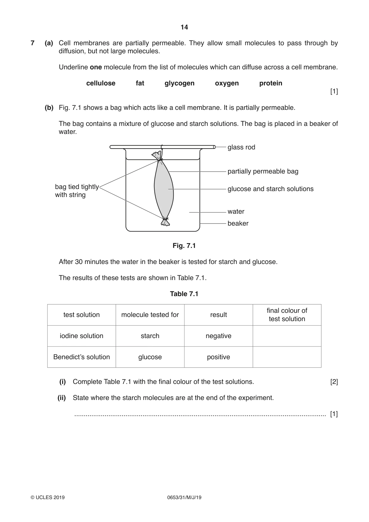 Cambridge IGCSE Science - Combined 0653 2019 May/June Paper 3 · Variant 1 question paper, page 14 of 20