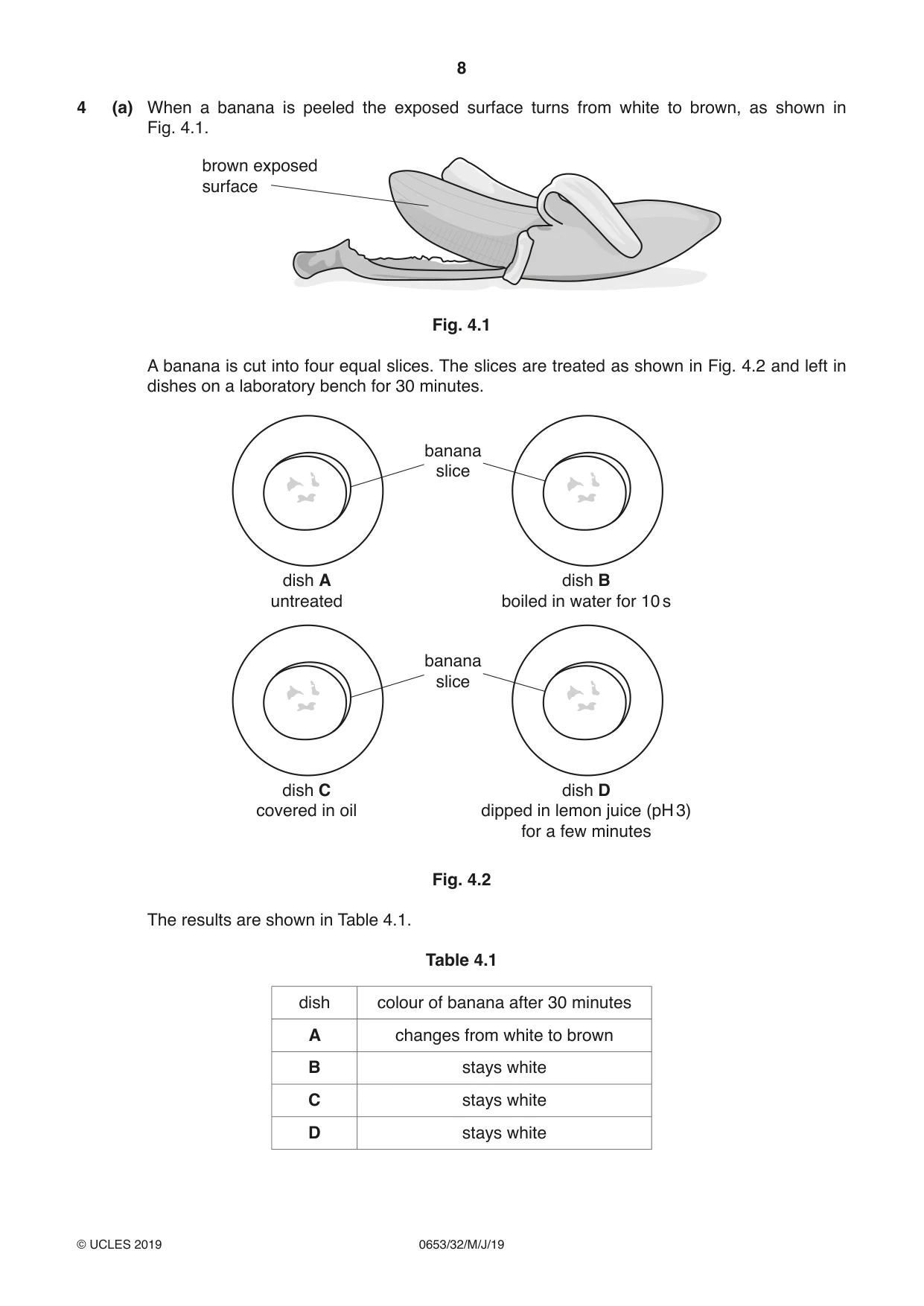 Cambridge IGCSE Science - Combined 0653 2019 May/June Paper 3 · Variant 2 question paper, page 8 of 20