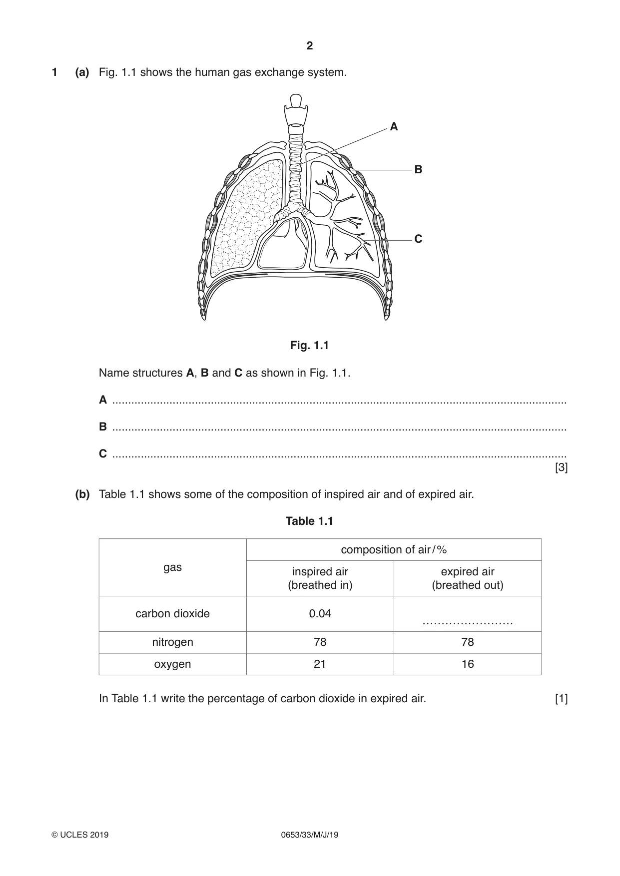 Cambridge IGCSE Science - Combined 0653 2019 May/June Paper 3 · Variant 3 question paper, page 2 of 20