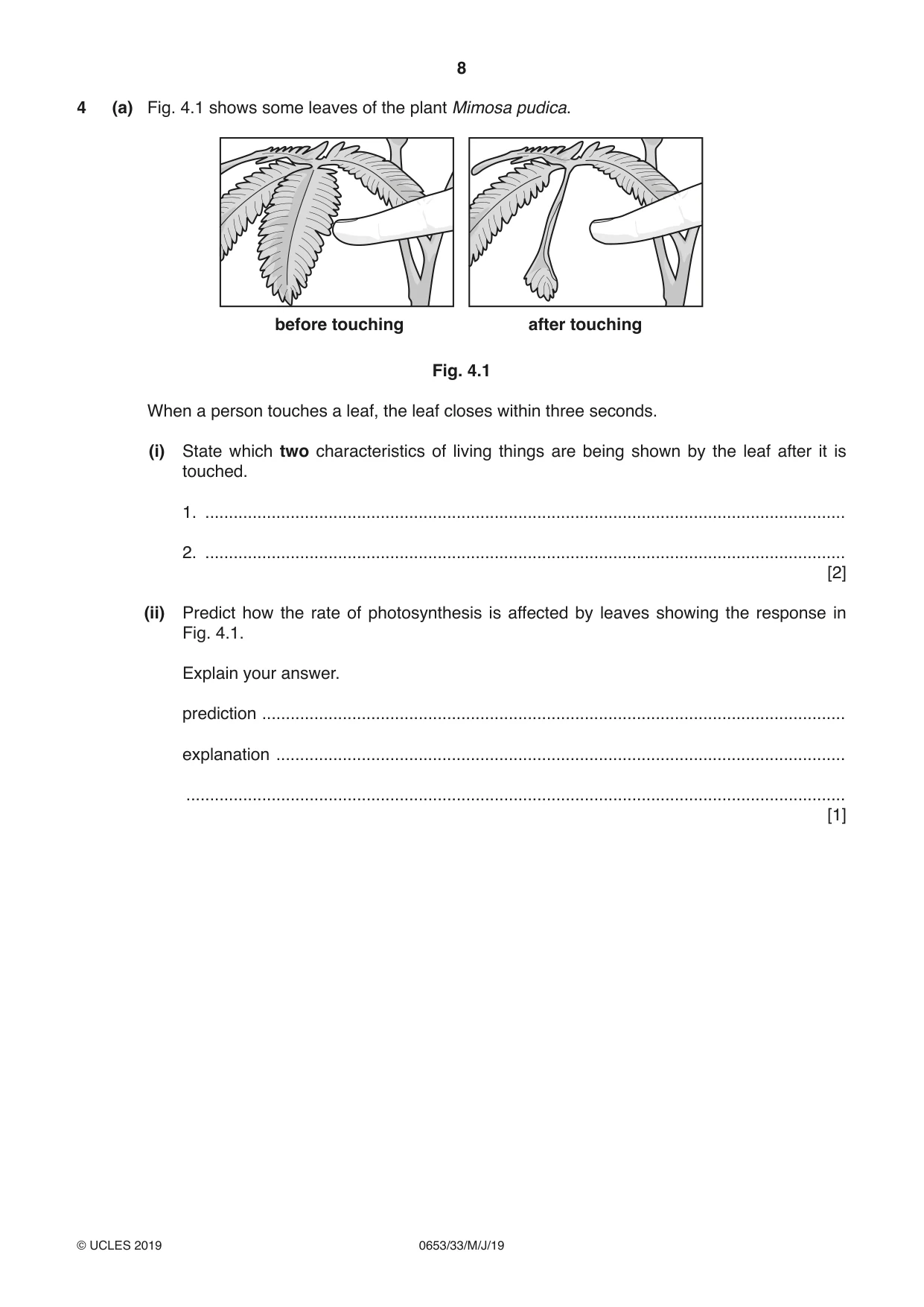 Cambridge IGCSE Science - Combined 0653 2019 May/June Paper 3 · Variant 3 question paper, page 8 of 20