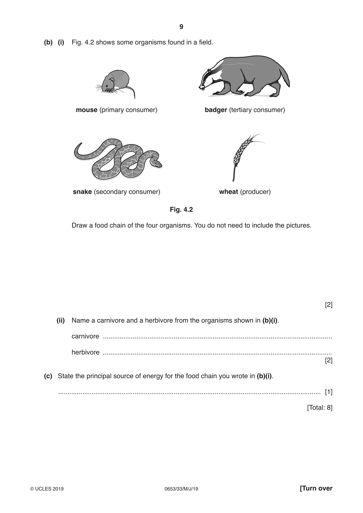 Cambridge IGCSE Science - Combined 0653 2019 May/June Paper 3 · Variant 3 question paper, page 9 of 20