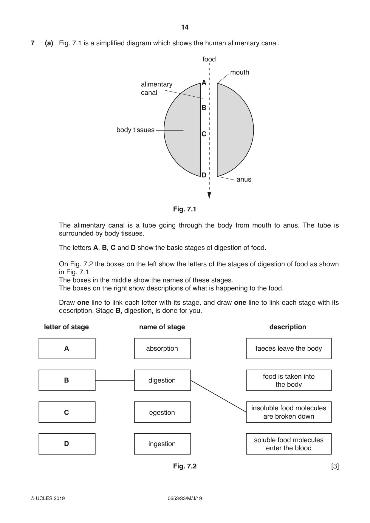 Cambridge IGCSE Science - Combined 0653 2019 May/June Paper 3 · Variant 3 question paper, page 14 of 20