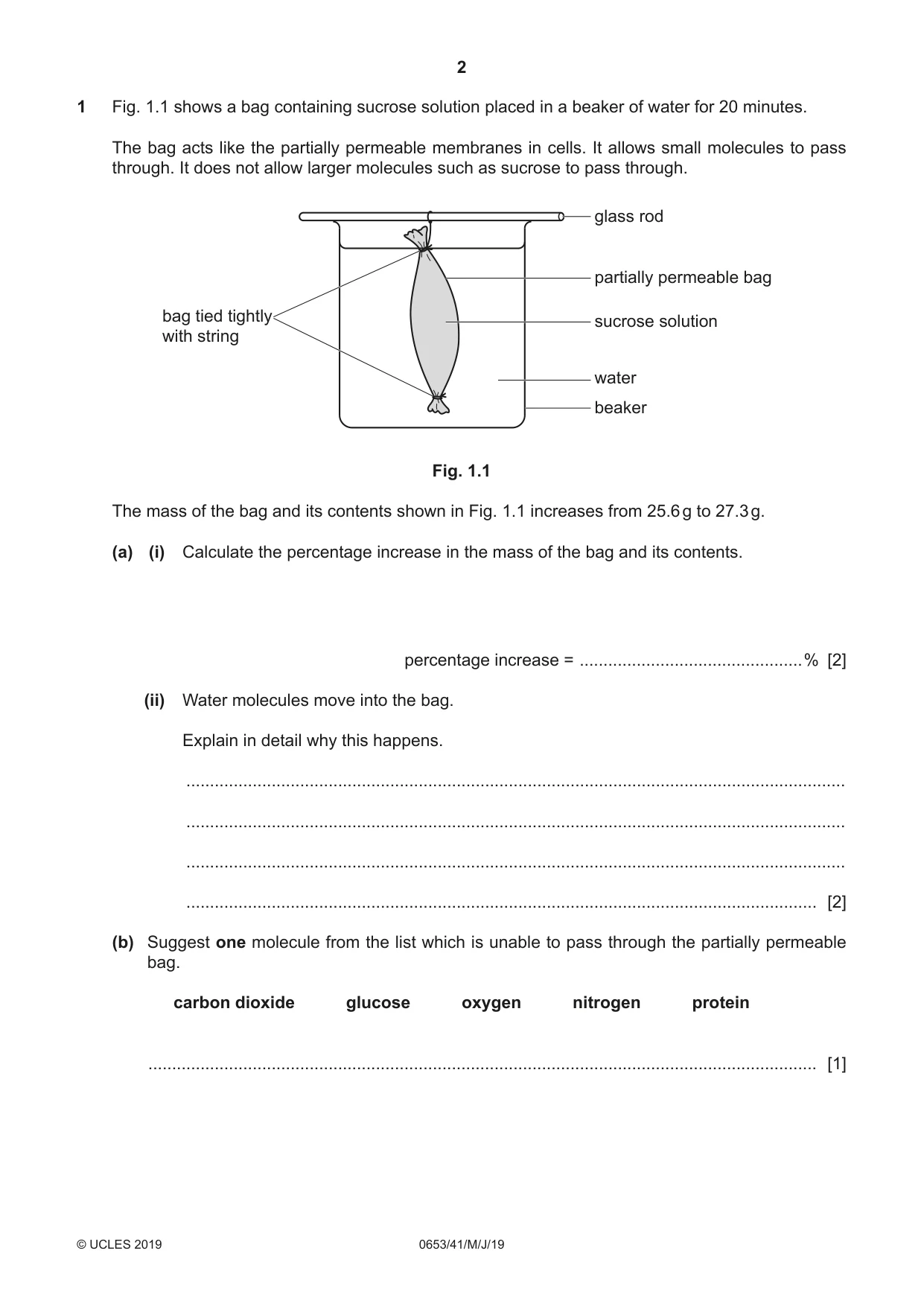 Cambridge IGCSE Science - Combined 0653 2019 May/June Paper 4 · Variant 1 question paper, page 2 of 24