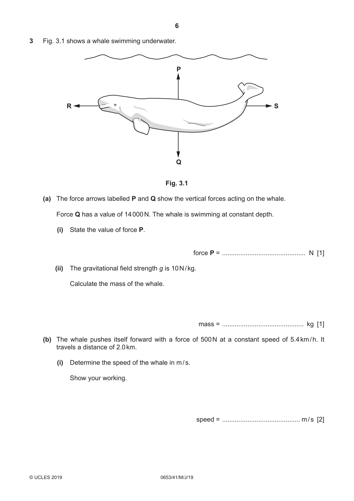 Cambridge IGCSE Science - Combined 0653 2019 May/June Paper 4 · Variant 1 question paper, page 6 of 24