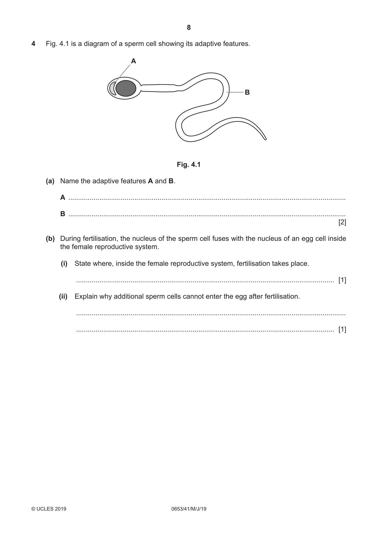 Cambridge IGCSE Science - Combined 0653 2019 May/June Paper 4 · Variant 1 question paper, page 8 of 24