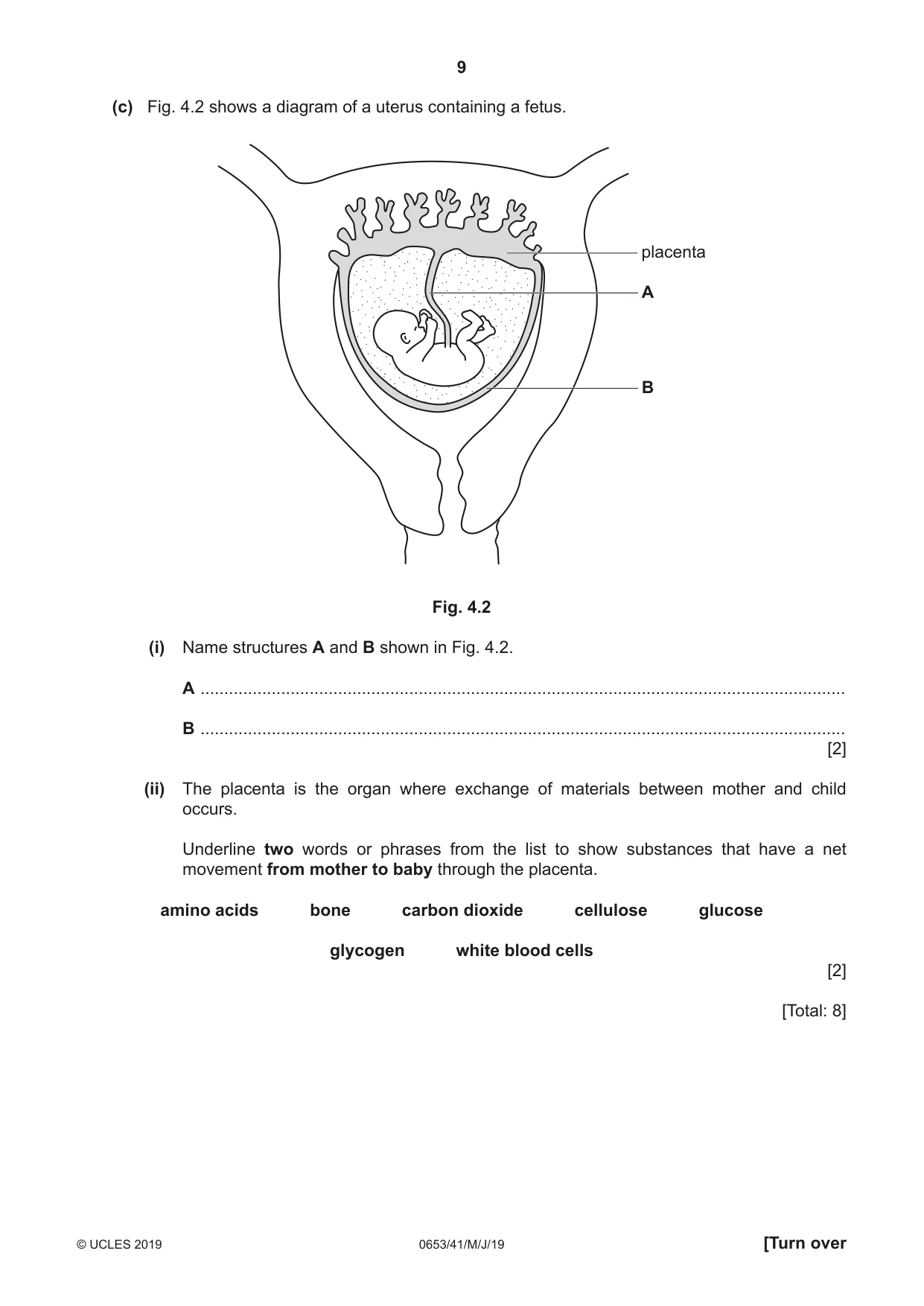 Cambridge IGCSE Science - Combined 0653 2019 May/June Paper 4 · Variant 1 question paper, page 9 of 24