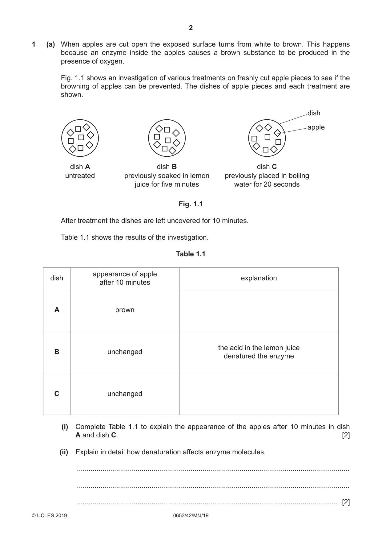 Cambridge IGCSE Science - Combined 0653 2019 May/June Paper 4 · Variant 2 question paper, page 2 of 20